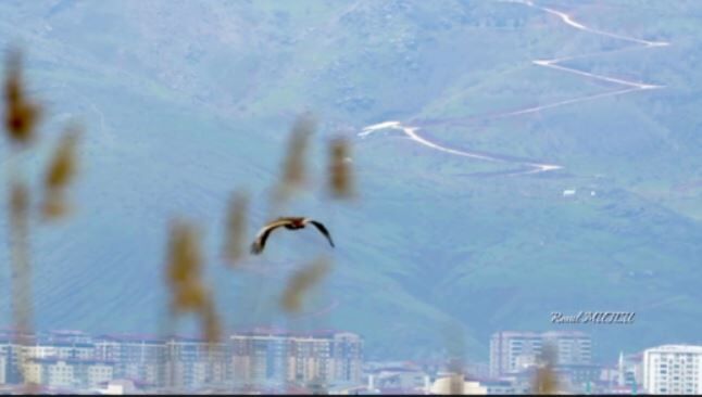 Whatsapp Image 2026 04 24 At 17.53.16