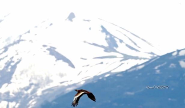 Whatsapp Image 2026 04 24 At 17.53.17