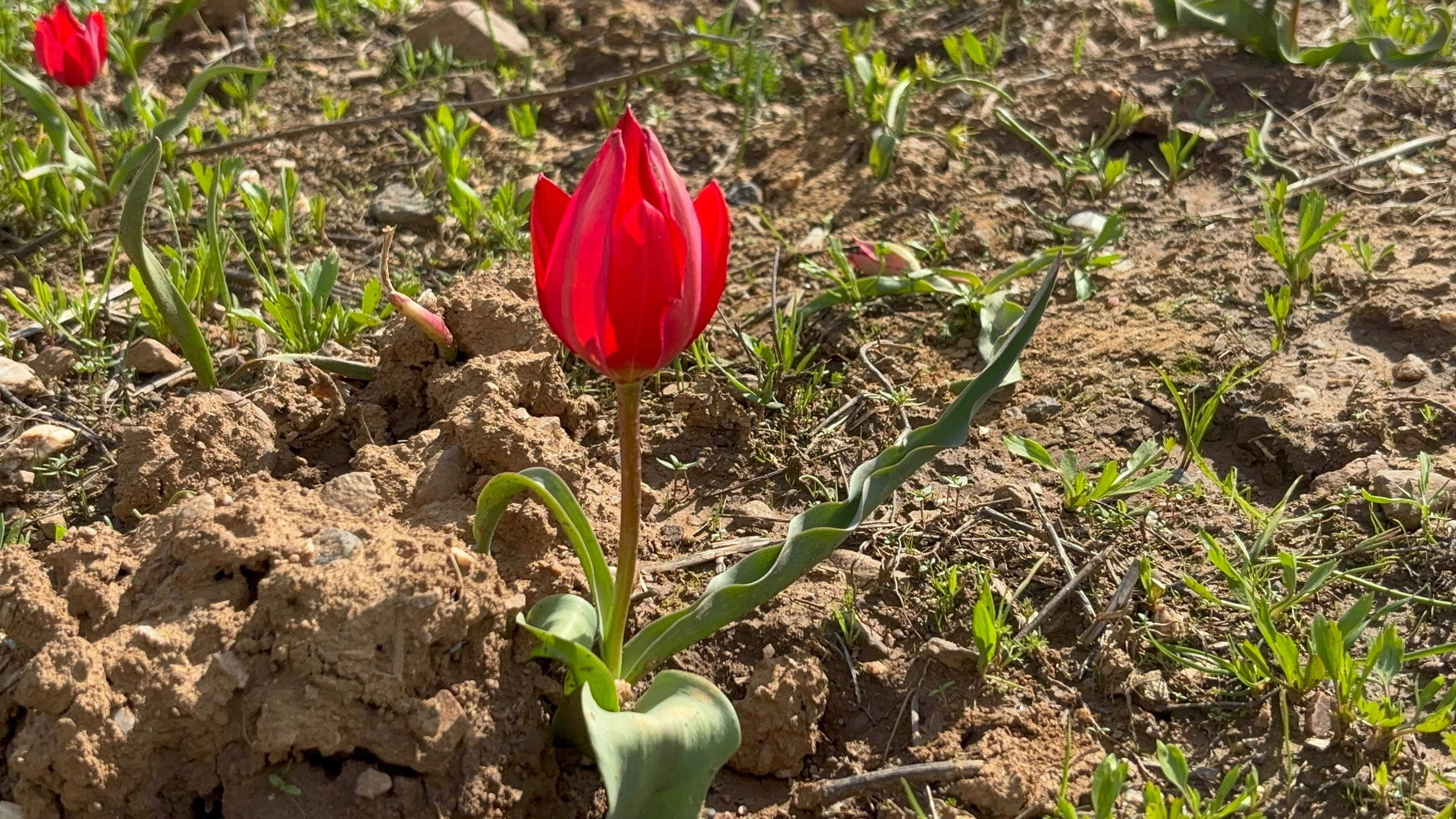 Whatsapp Image 2026 04 25 At 12.48.14 (1)