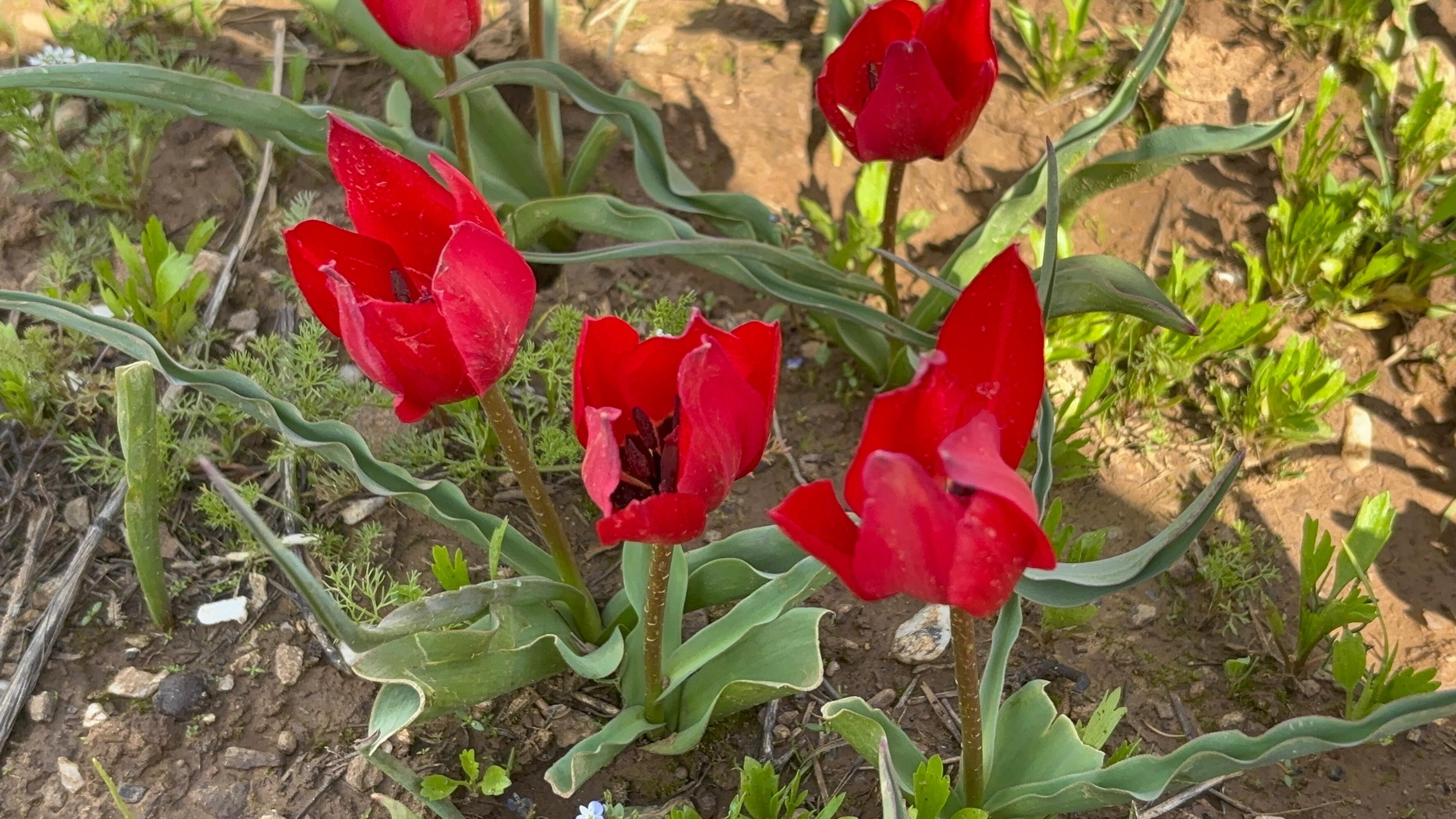 Whatsapp Image 2026 04 25 At 12.48.14 (2)