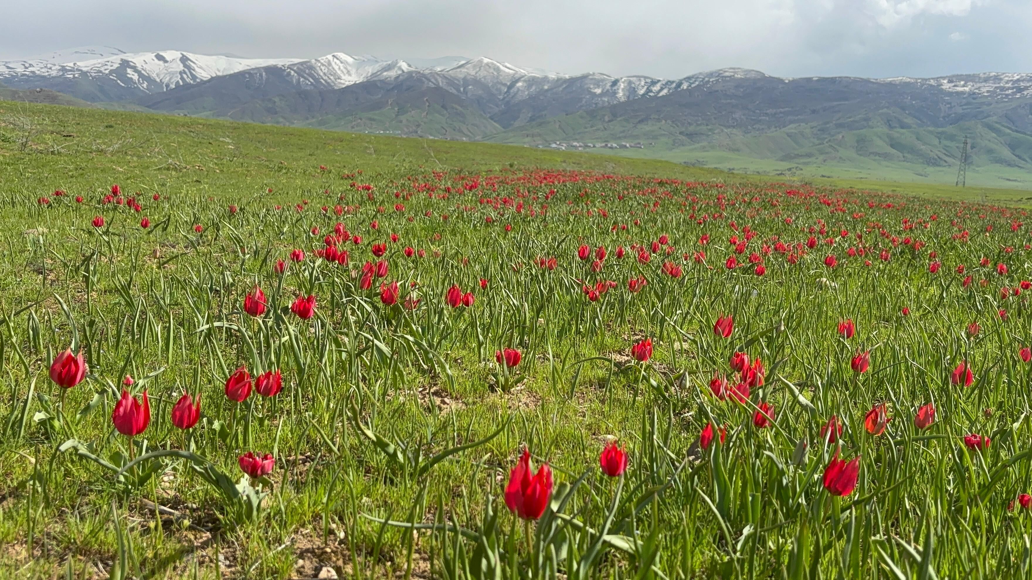 Whatsapp Image 2026 04 25 At 12.48.14 (5)