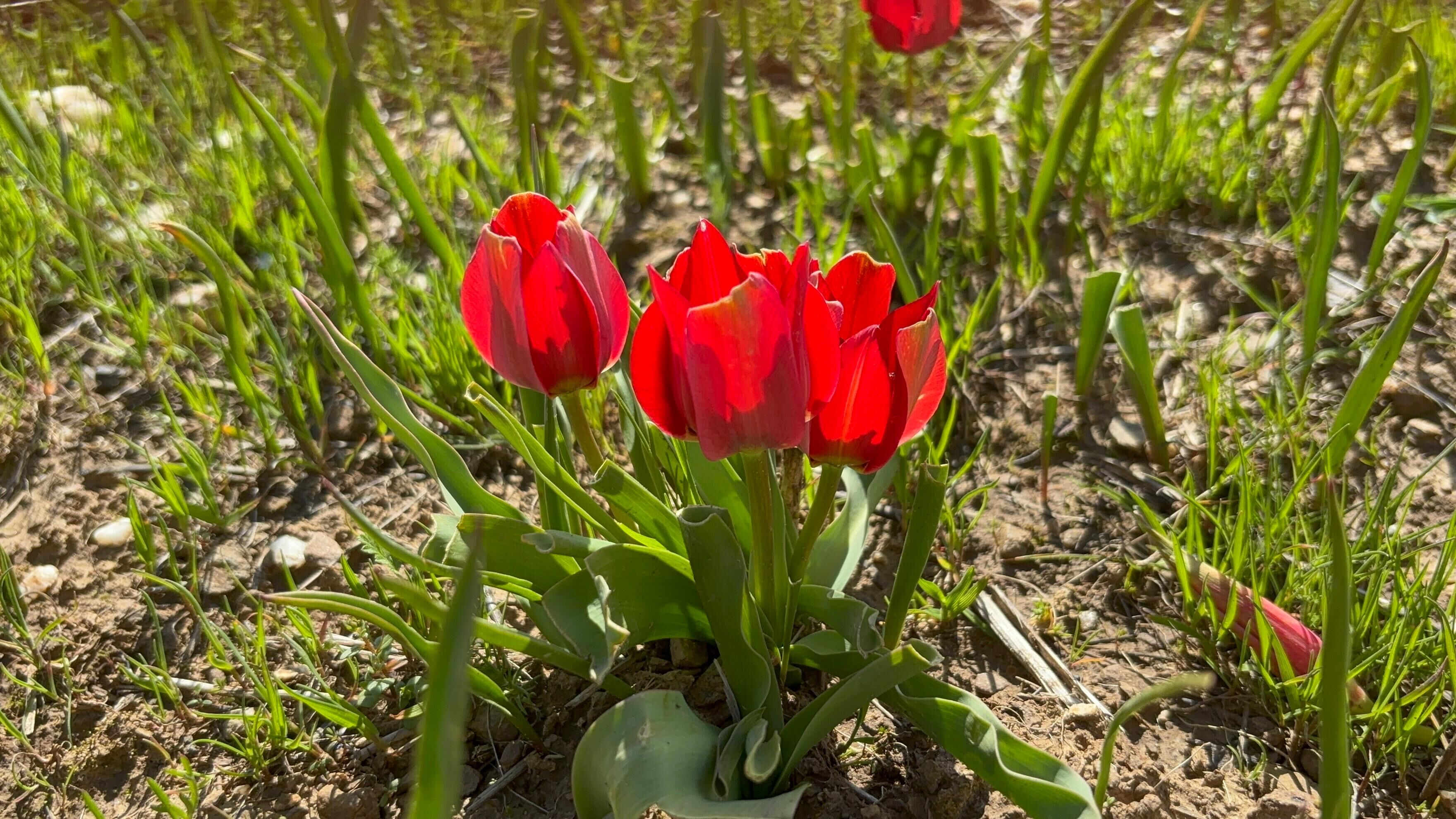 Whatsapp Image 2026 04 25 At 12.48.14 (6)