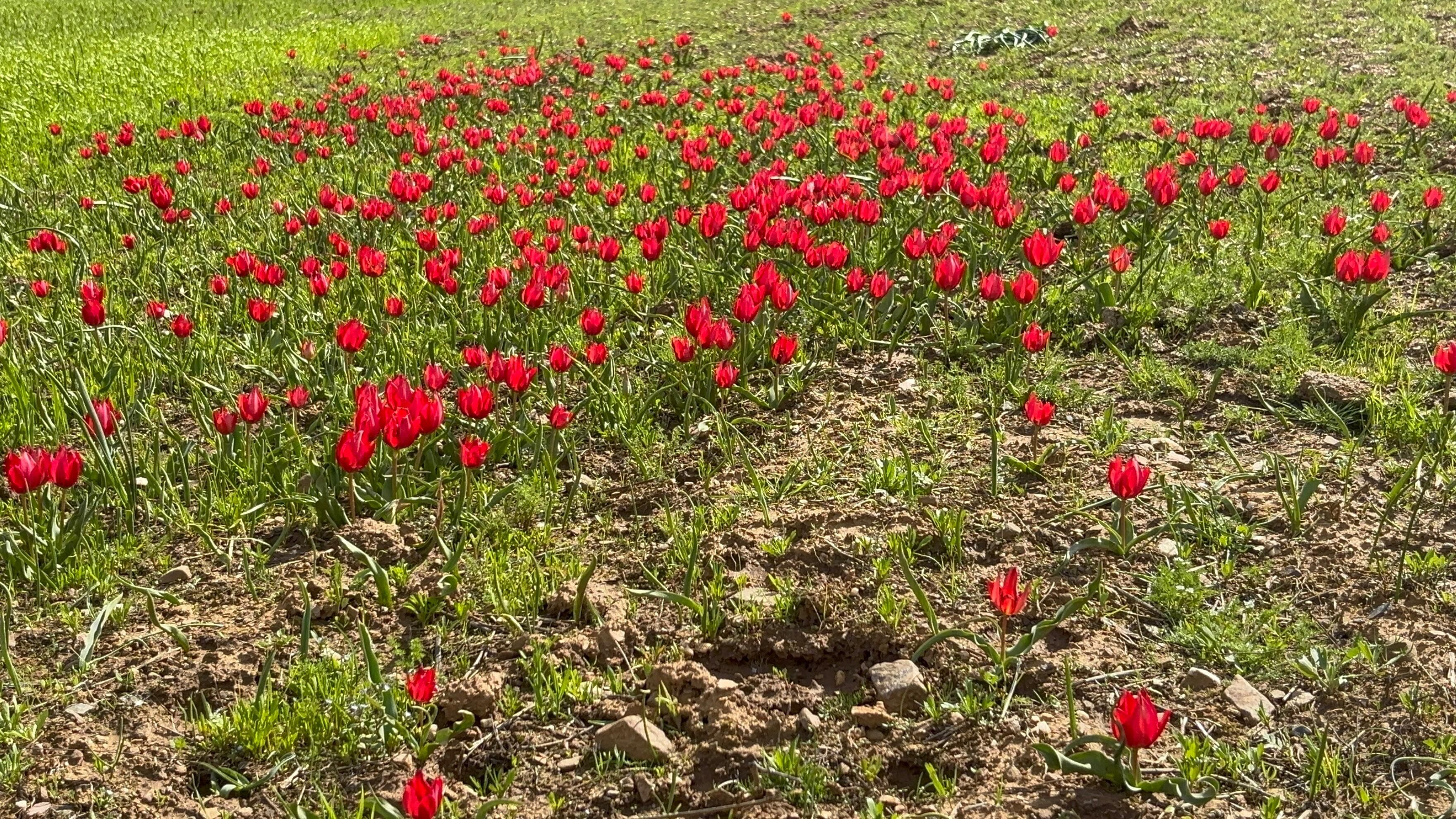 Whatsapp Image 2026 04 25 At 12.48.14