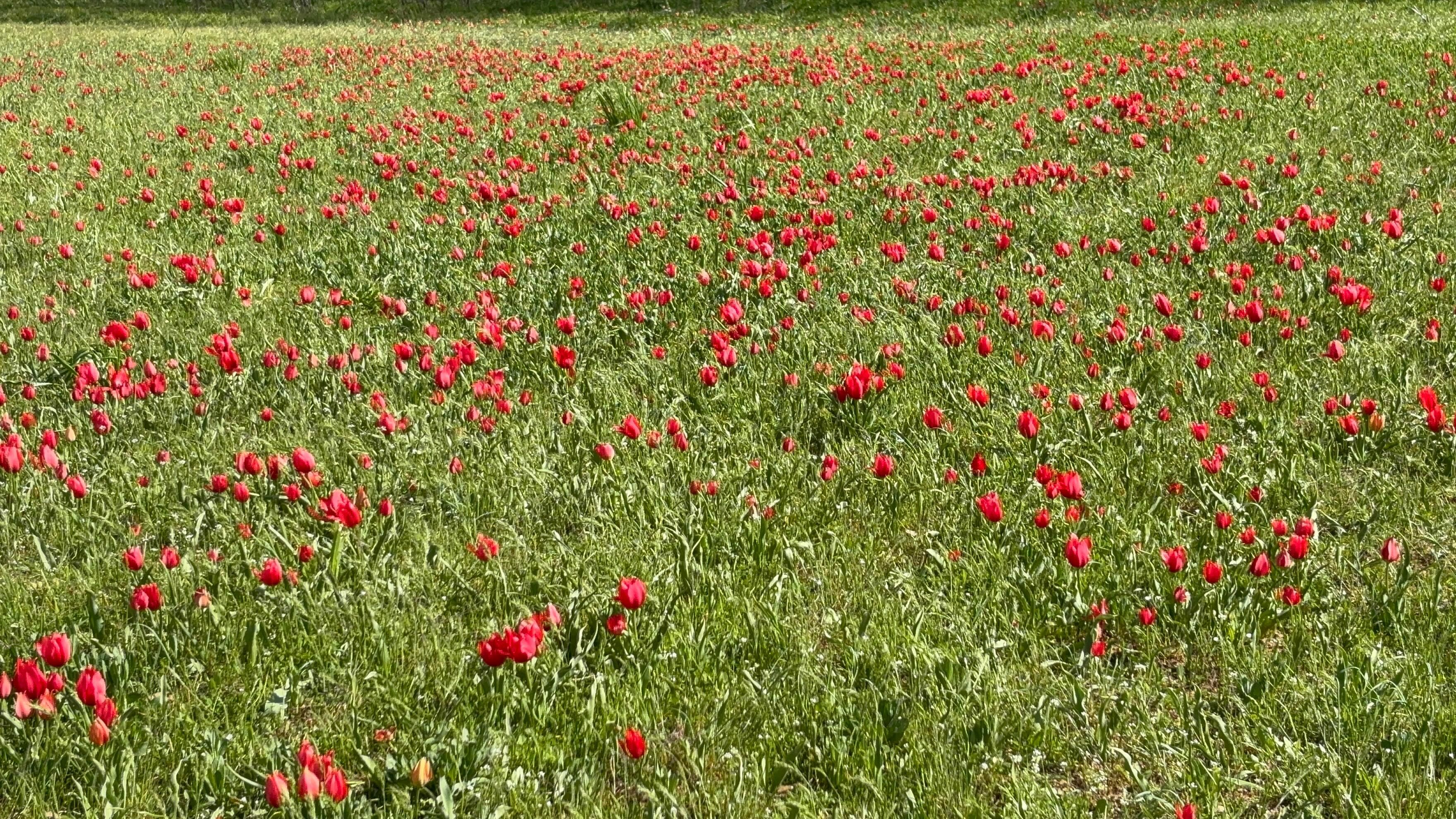 Whatsapp Image 2026 04 25 At 12.48.15 (1)