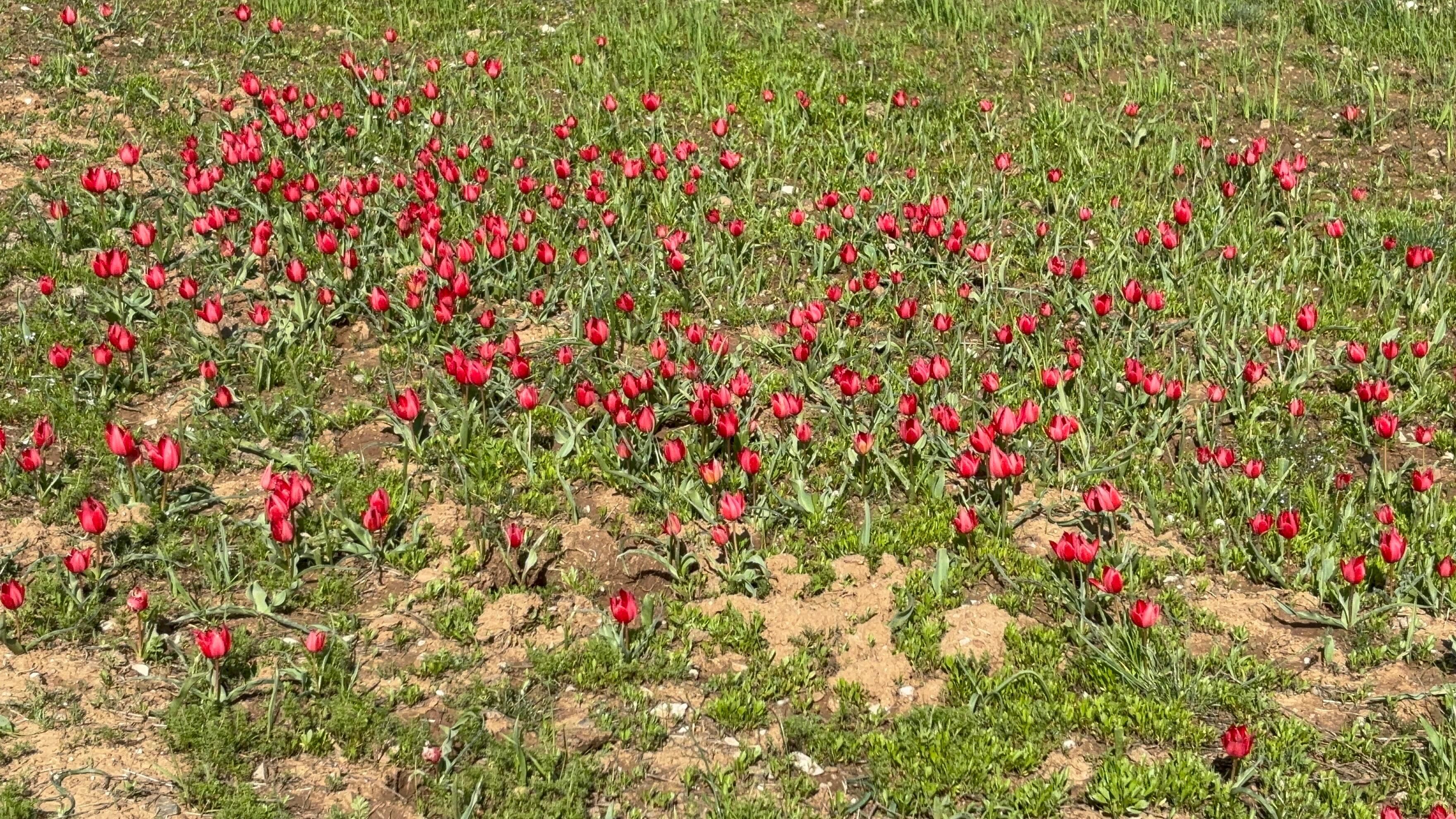 Whatsapp Image 2026 04 25 At 12.48.15