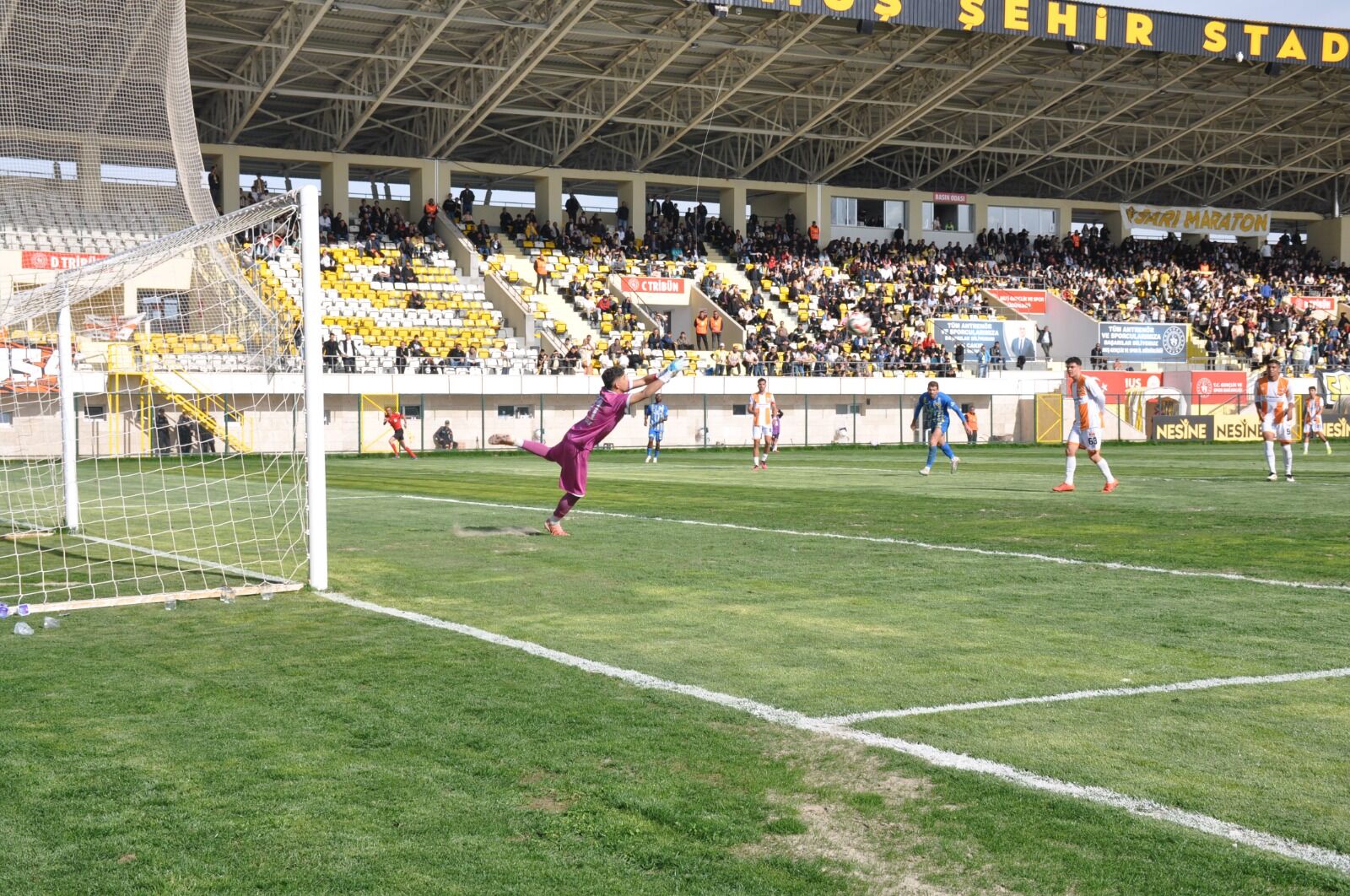 Whatsapp Image 2026 04 25 At 20.25.43 (1)