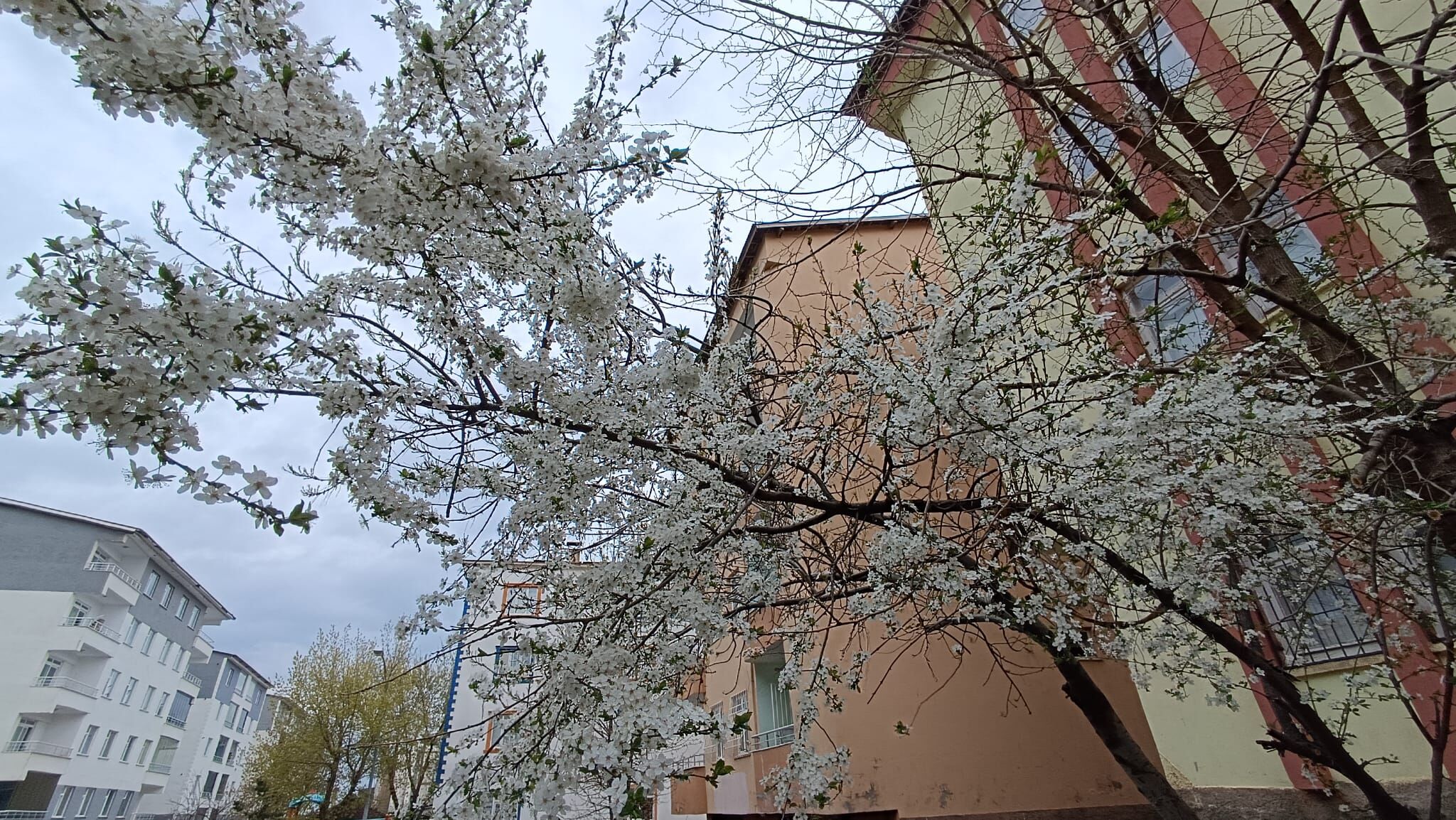 Whatsapp Image 2026 04 26 At 13.50.25