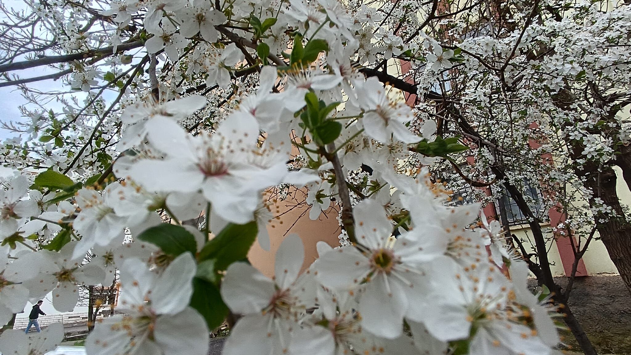 Whatsapp Image 2026 04 26 At 13.50.27 (1)