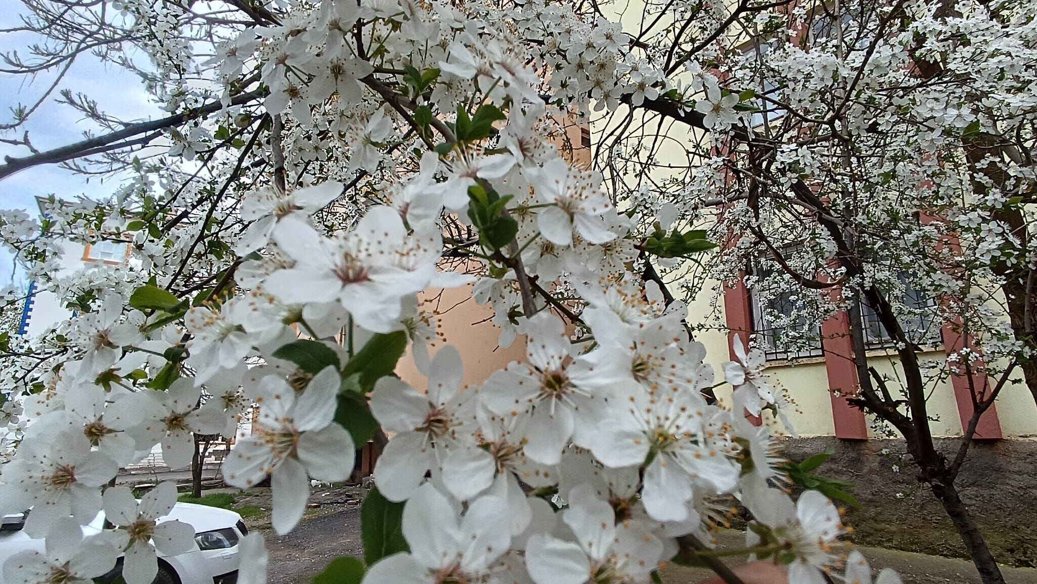 Whatsapp Image 2026 04 26 At 13.50.27 (2)