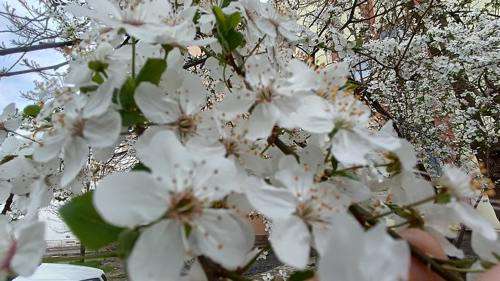 Whatsapp Image 2026 04 26 At 13.50.27 (3)