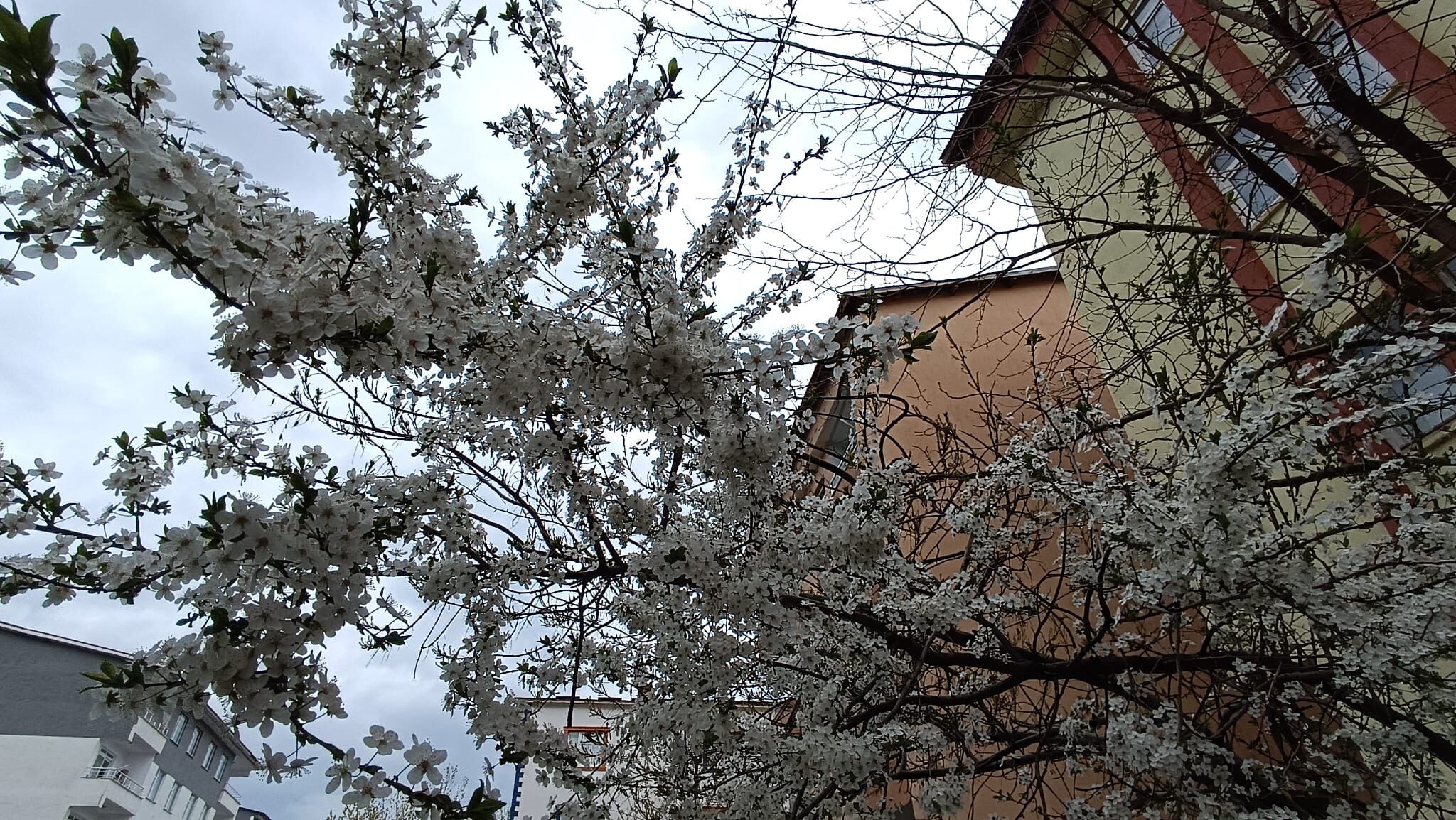 Whatsapp Image 2026 04 26 At 13.50.27