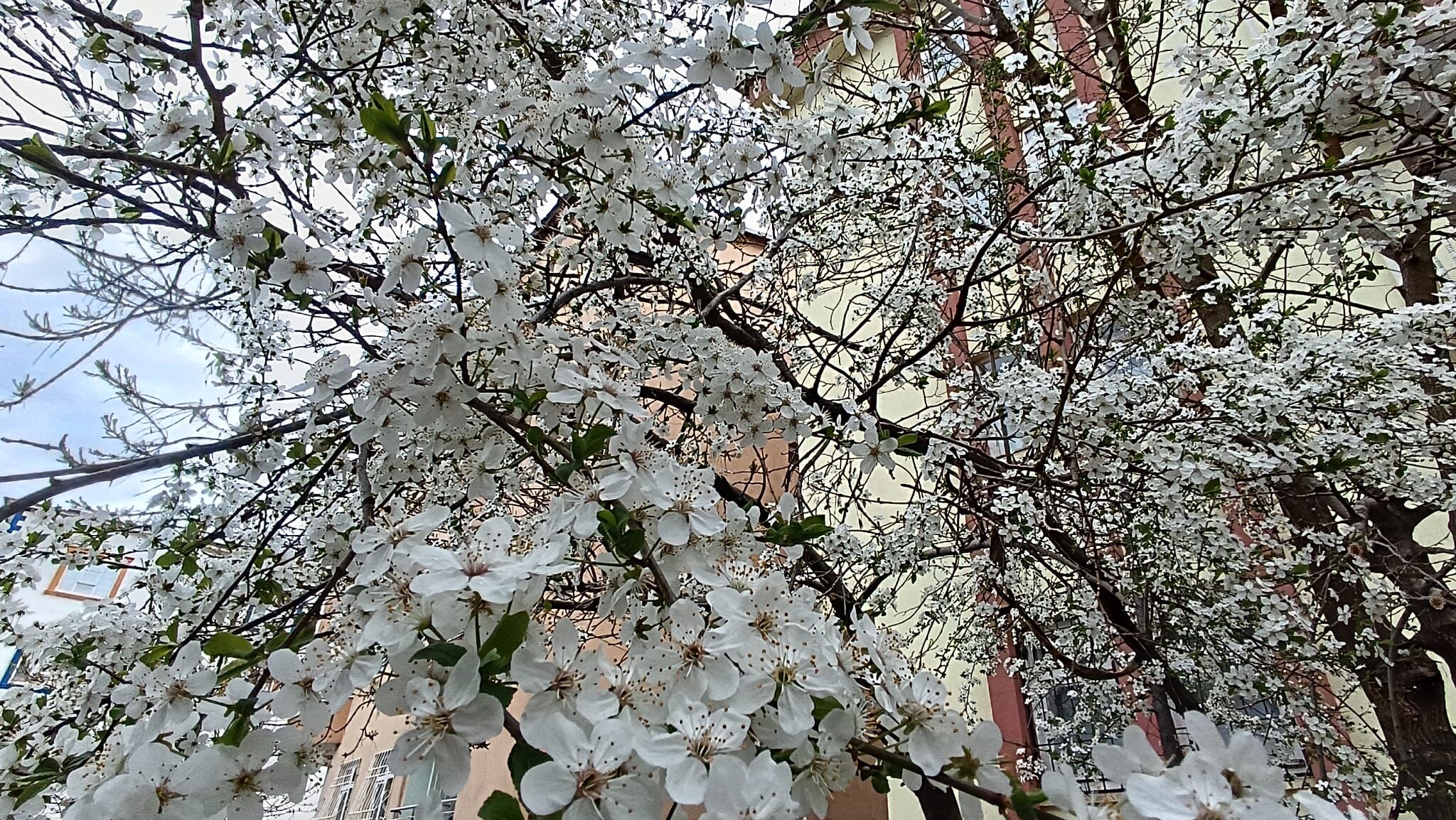 Whatsapp Image 2026 04 26 At 13.50.28 (1)