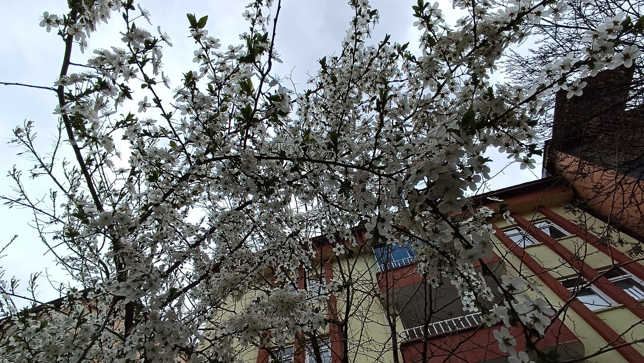 Whatsapp Image 2026 04 26 At 13.50.28 (2)