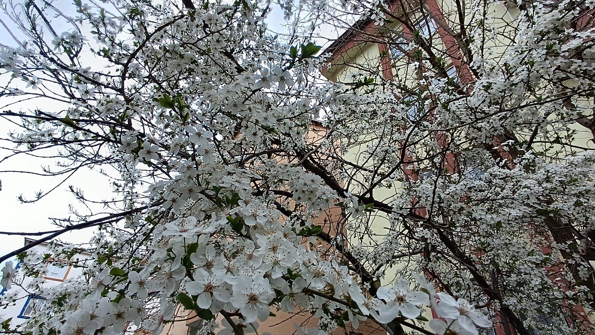 Whatsapp Image 2026 04 26 At 13.50.28