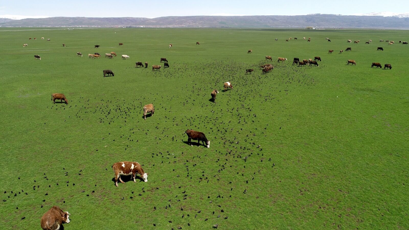 Whatsapp Image 2026 04 29 At 17.15.21 (1)