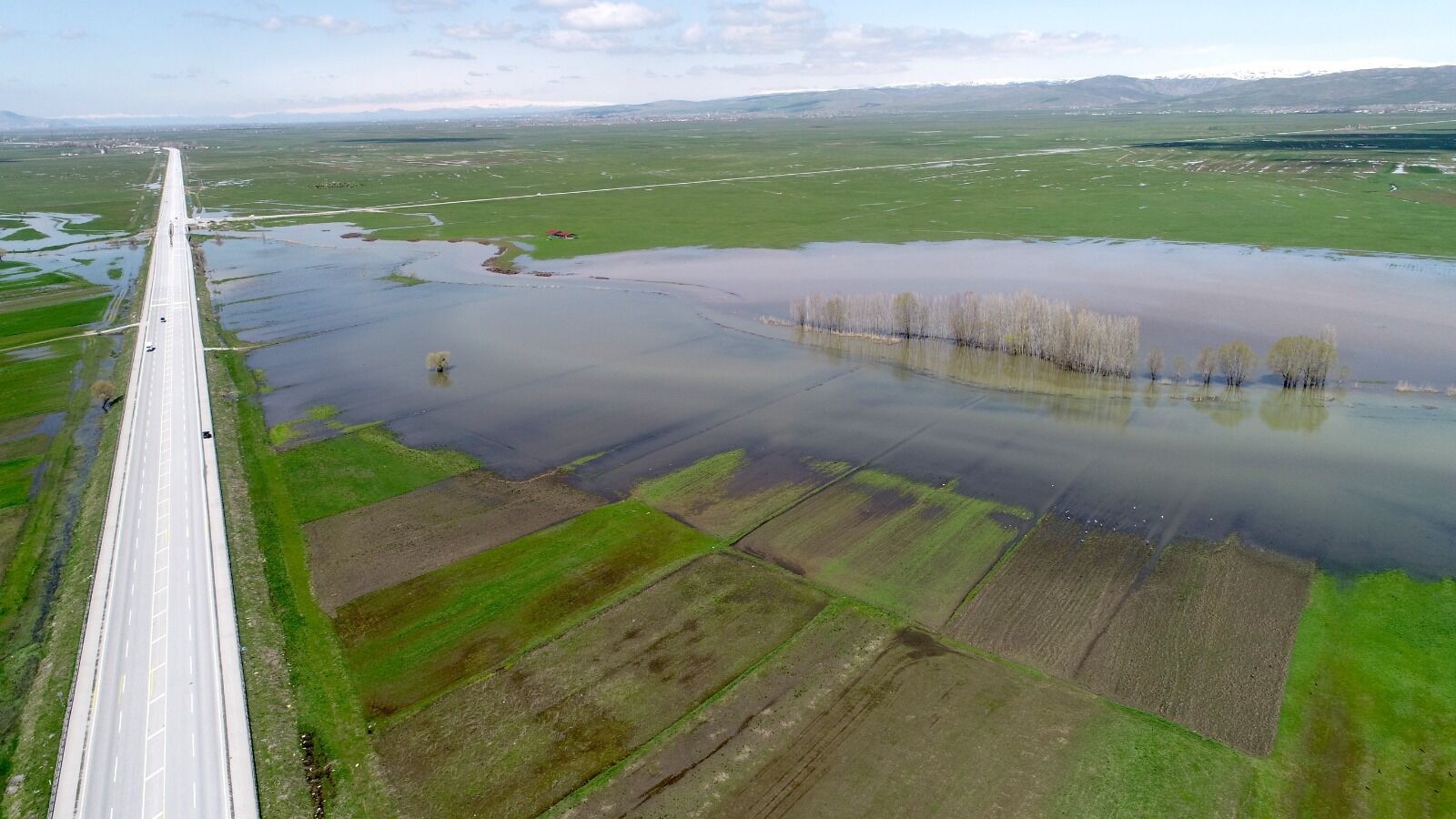 Whatsapp Image 2026 04 29 At 17.15.21 (10)