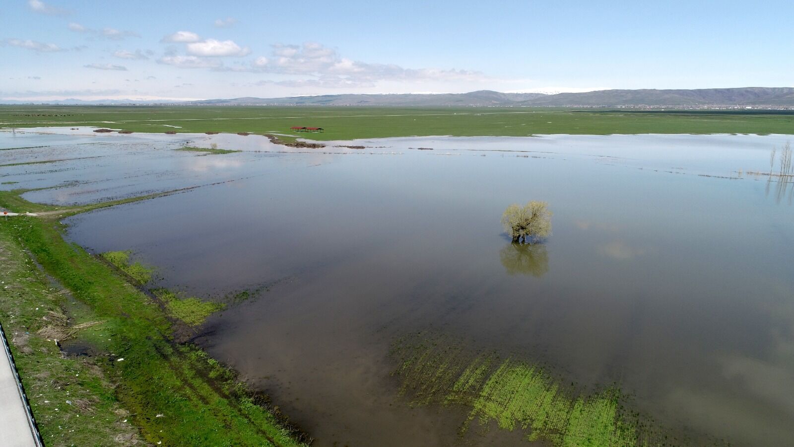 Whatsapp Image 2026 04 29 At 17.15.21 (11)