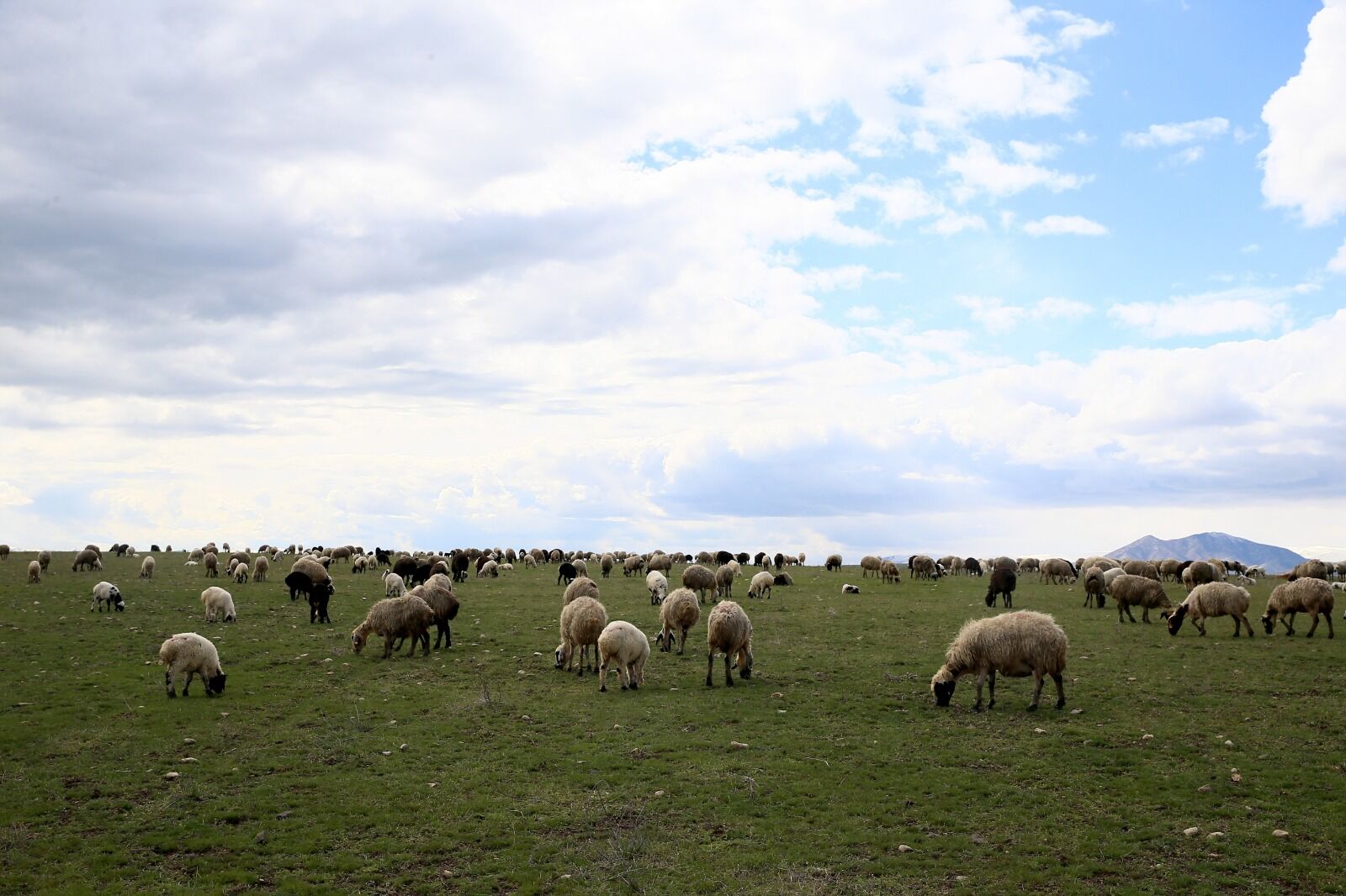 Whatsapp Image 2026 04 29 At 17.15.21 (12)