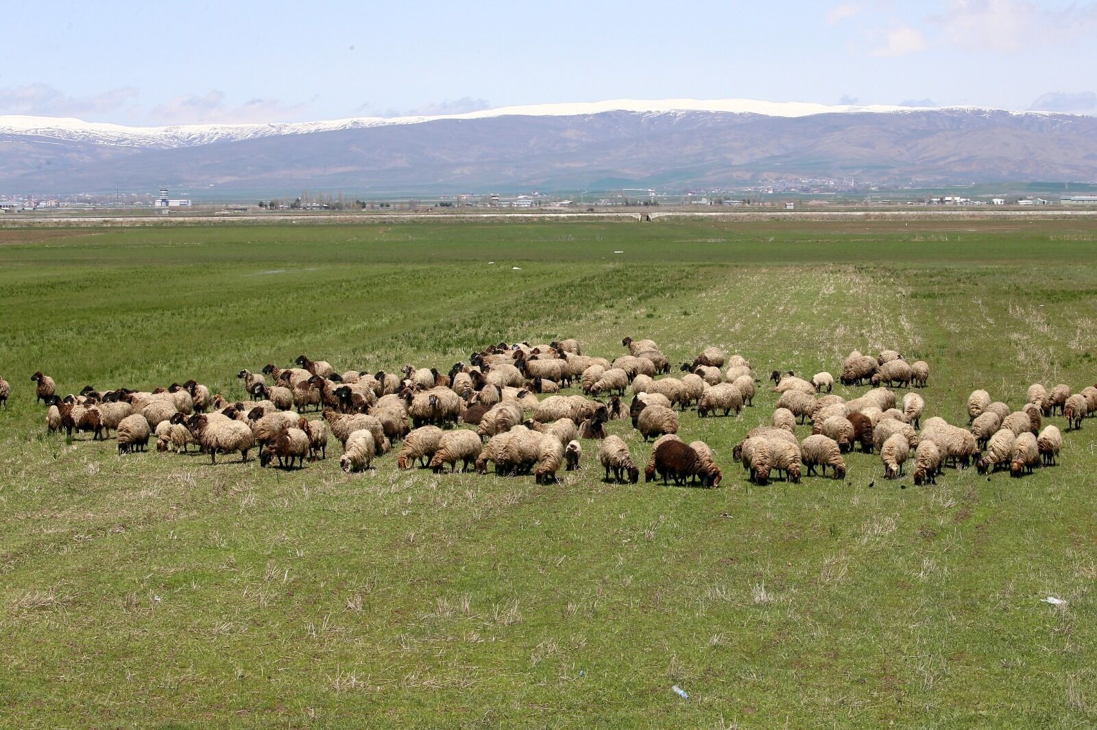 Whatsapp Image 2026 04 29 At 17.15.21 (13)