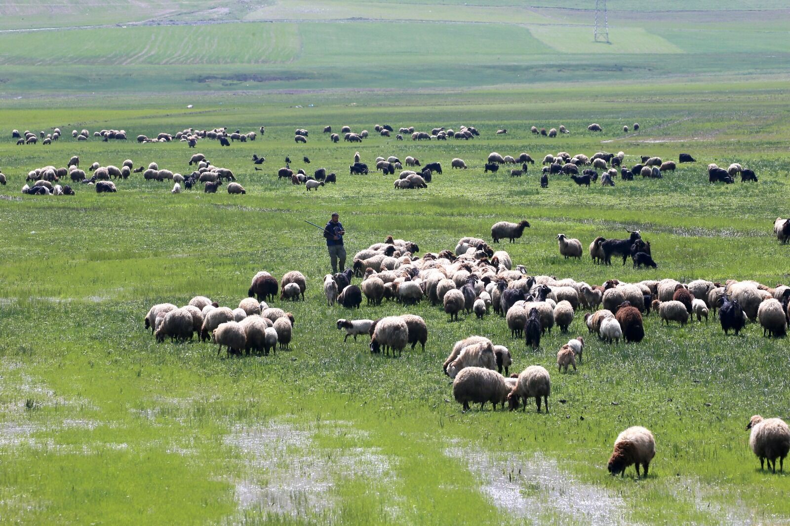 Whatsapp Image 2026 04 29 At 17.15.21 (14)