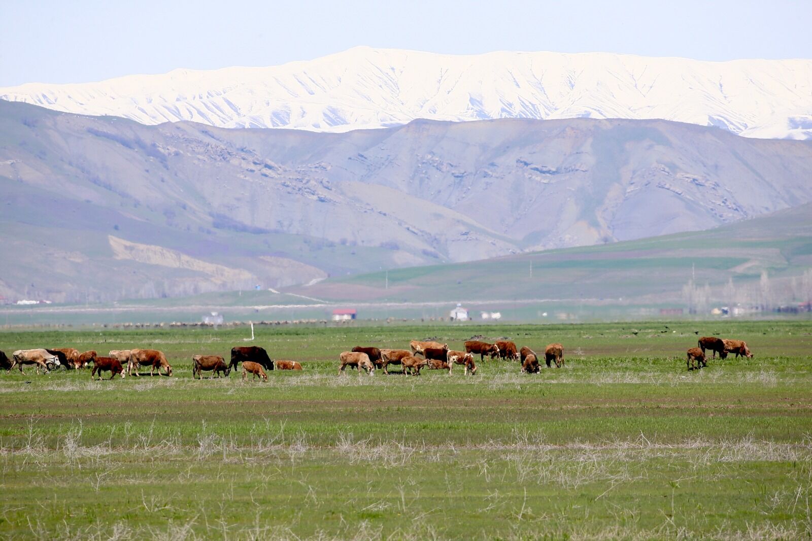 Whatsapp Image 2026 04 29 At 17.15.21 (15)