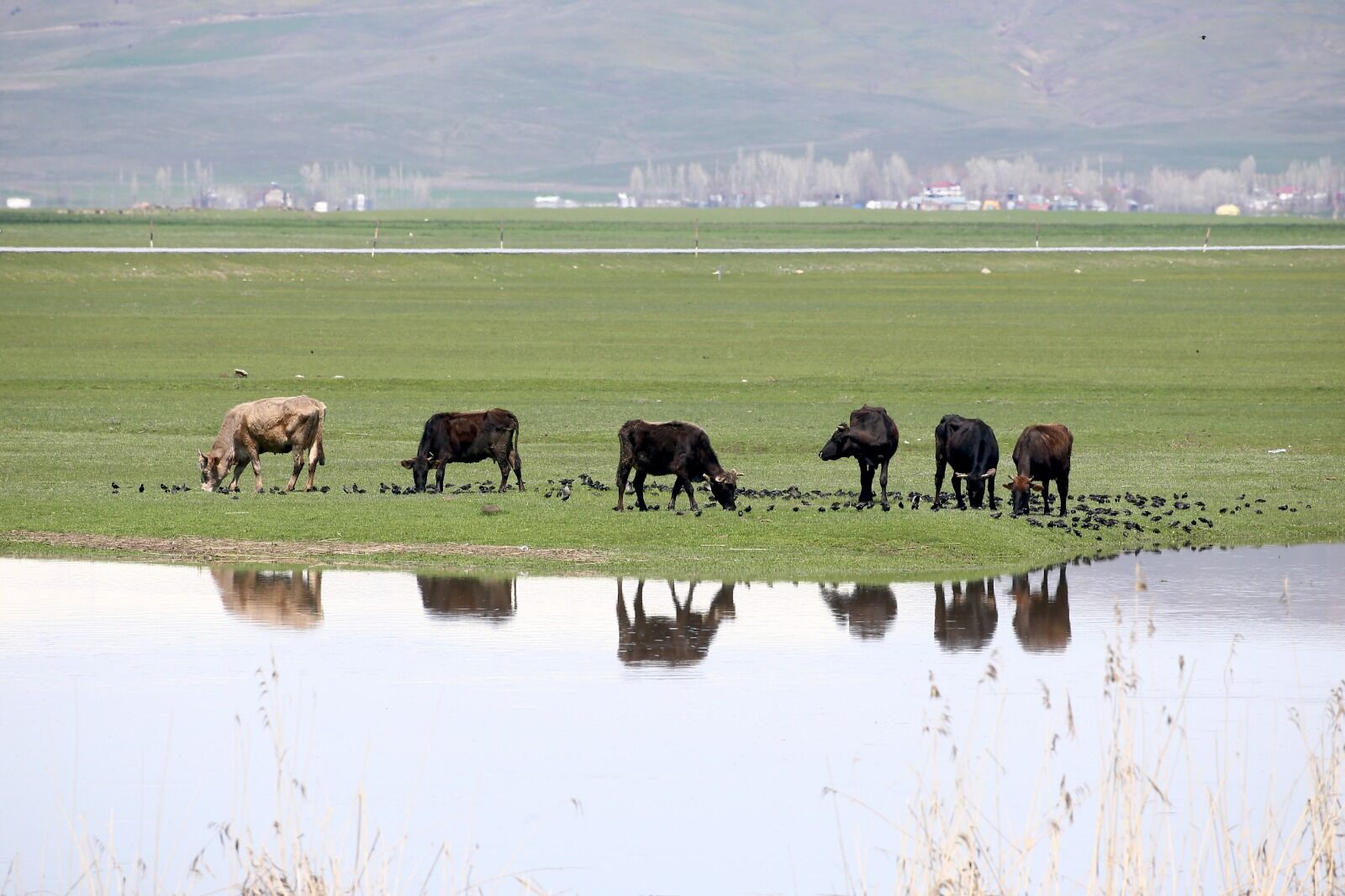 Whatsapp Image 2026 04 29 At 17.15.21 (16)