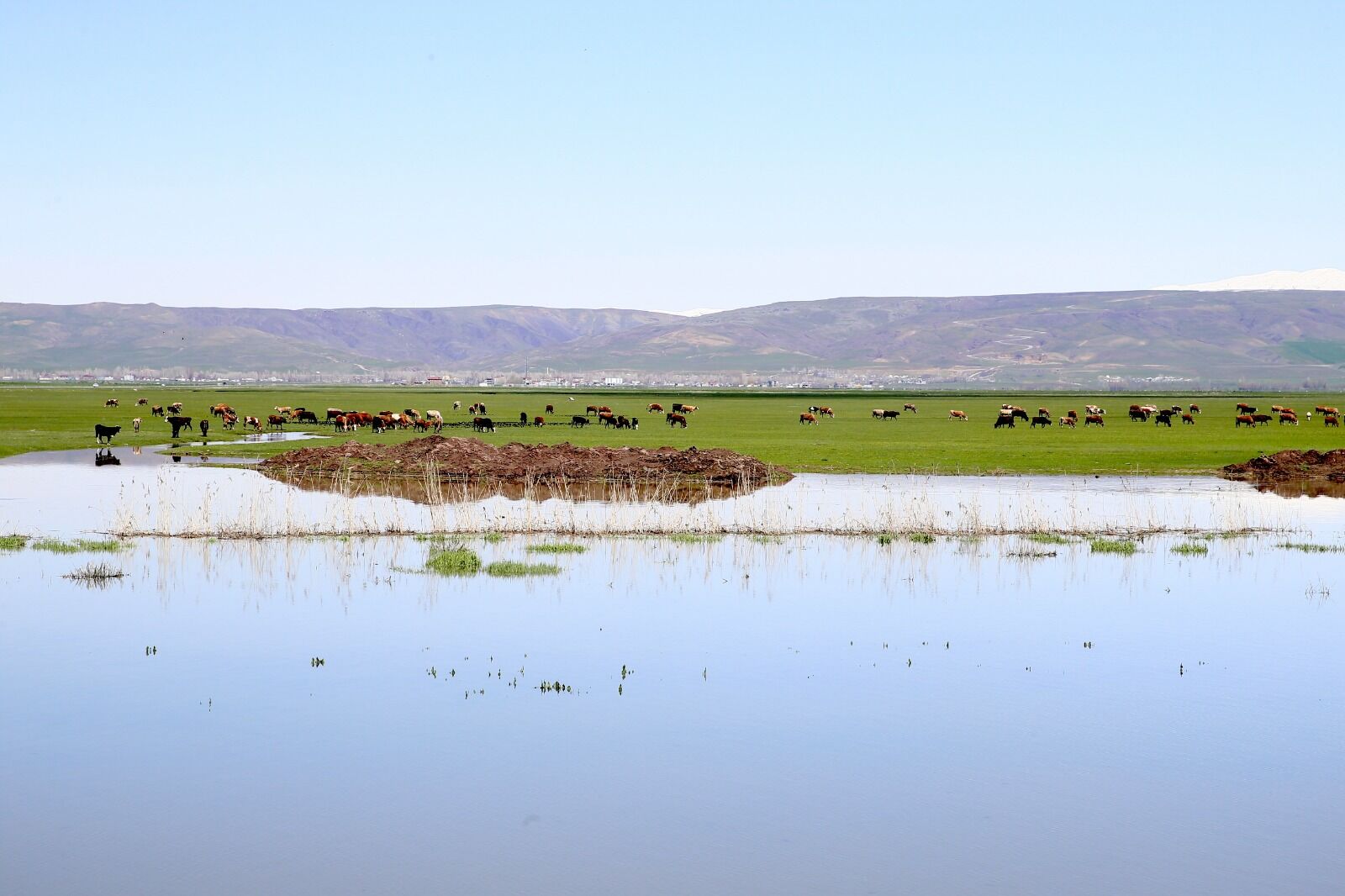 Whatsapp Image 2026 04 29 At 17.15.21 (17)