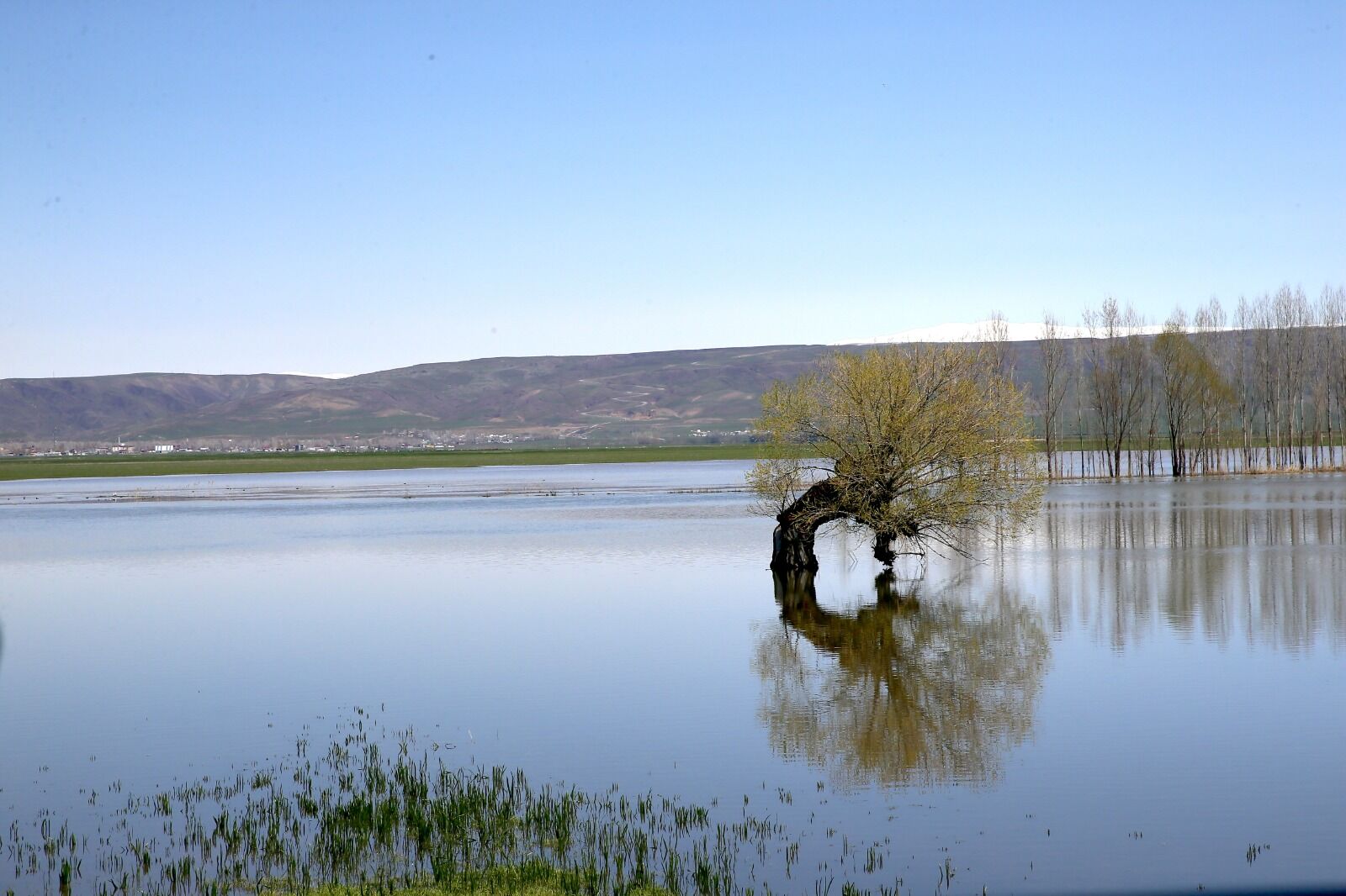 Whatsapp Image 2026 04 29 At 17.15.21 (18)