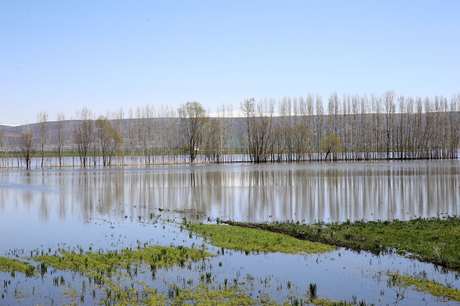 Whatsapp Image 2026 04 29 At 17.15.21 (19)