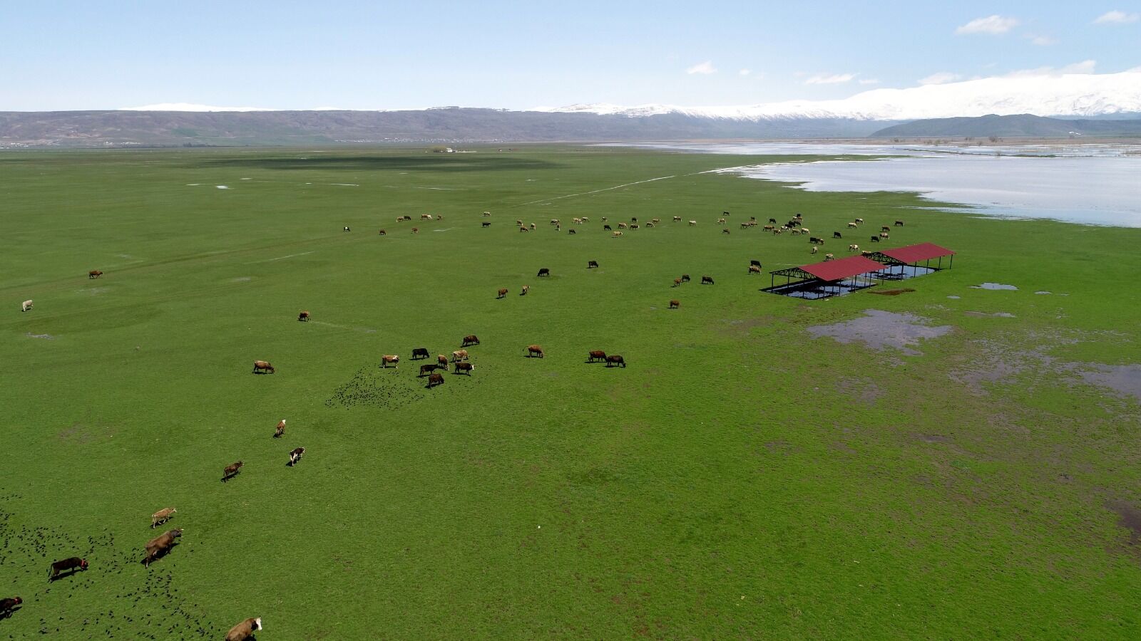 Whatsapp Image 2026 04 29 At 17.15.21 (2)