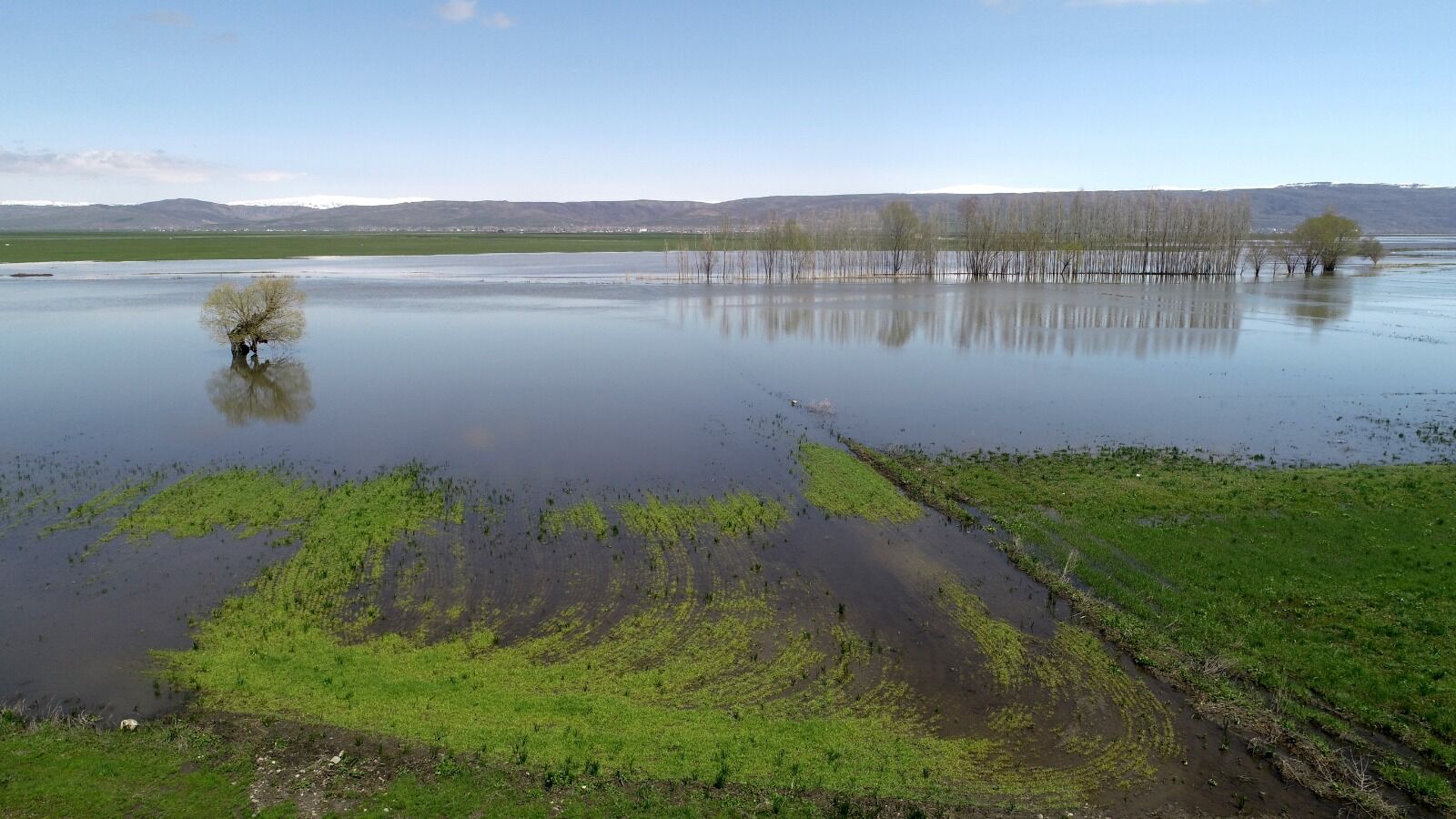 Whatsapp Image 2026 04 29 At 17.15.21 (3)