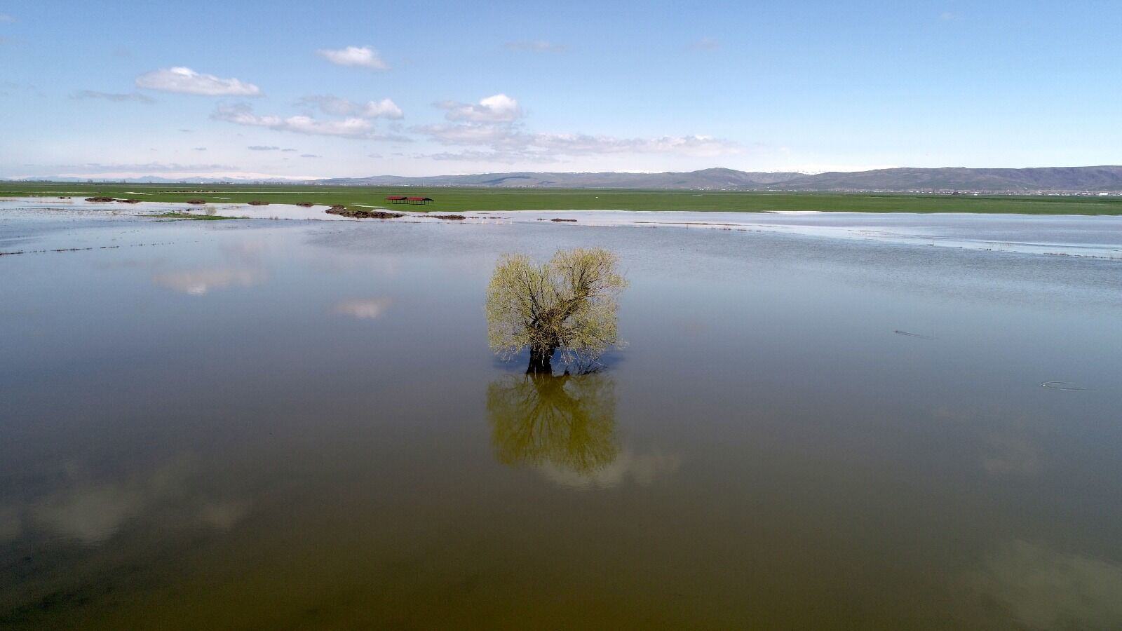 Whatsapp Image 2026 04 29 At 17.15.21 (4)