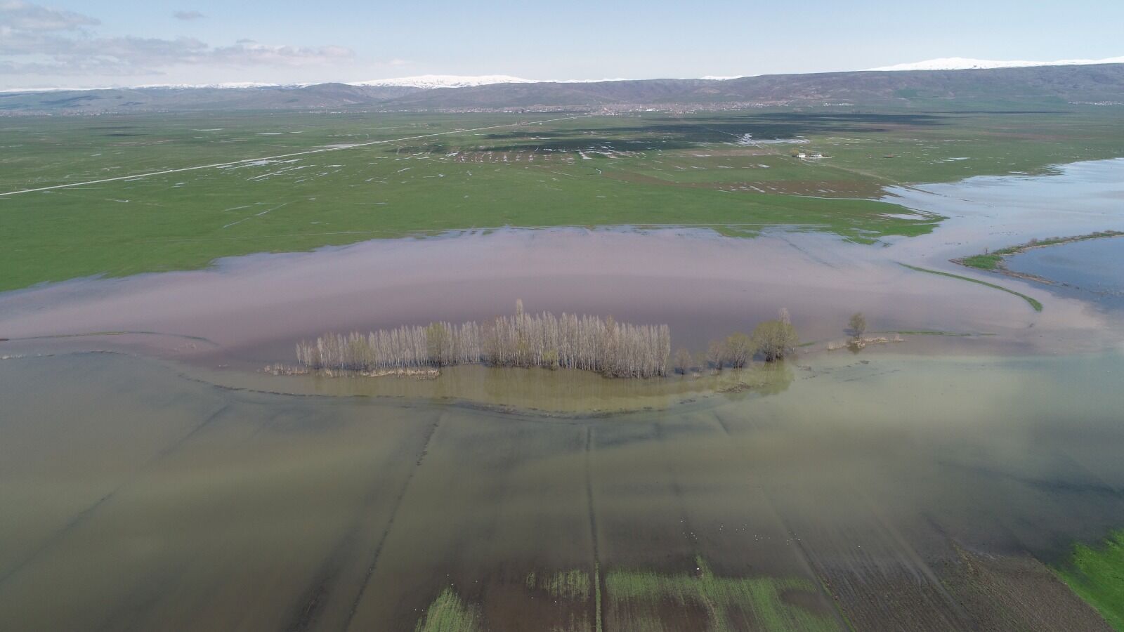 Whatsapp Image 2026 04 29 At 17.15.21 (6)