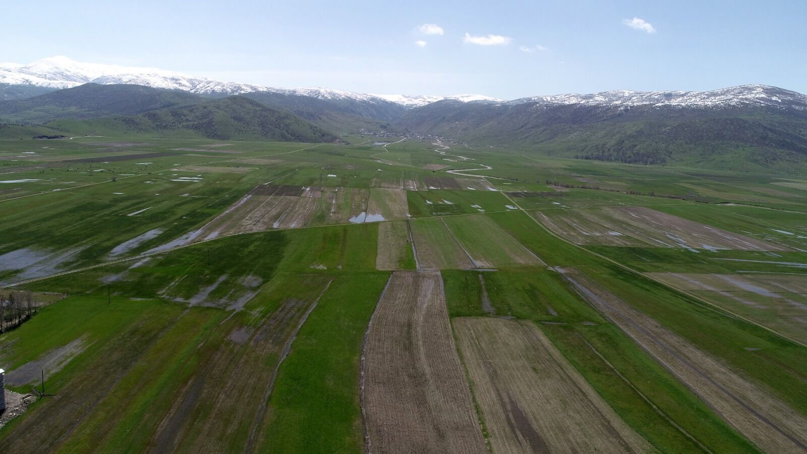 Whatsapp Image 2026 04 29 At 17.15.21 (8)