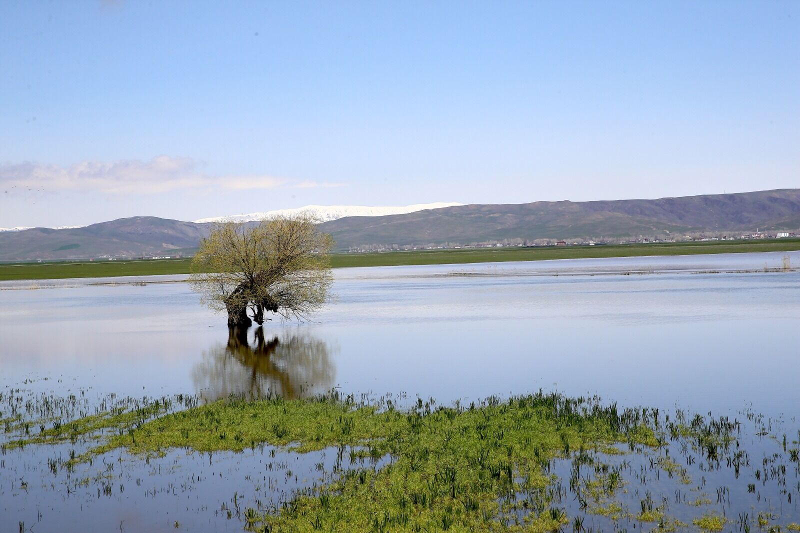 Whatsapp Image 2026 04 29 At 17.15.21