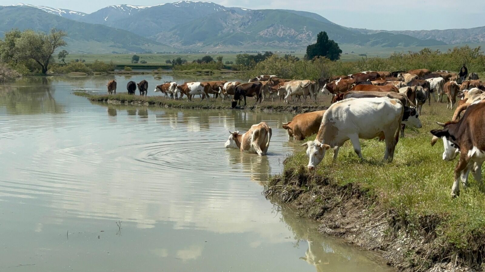 Whatsapp Image 2026 06 07 At 22.16.19 (4)