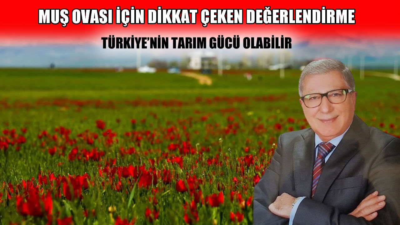 Yazar Talha Apak: Muş, çok daha yüksek katma değer üretebilir