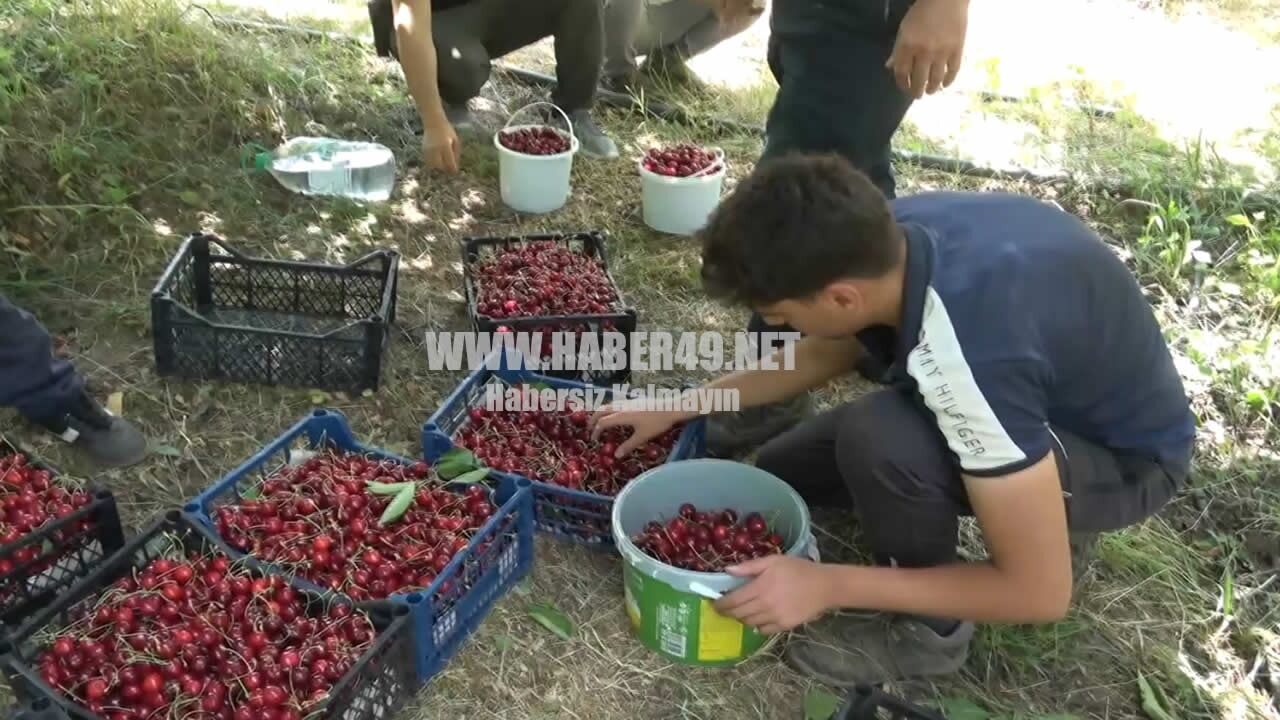 Whatsapp Image 2026 07 09 At 17.59.03 (6)