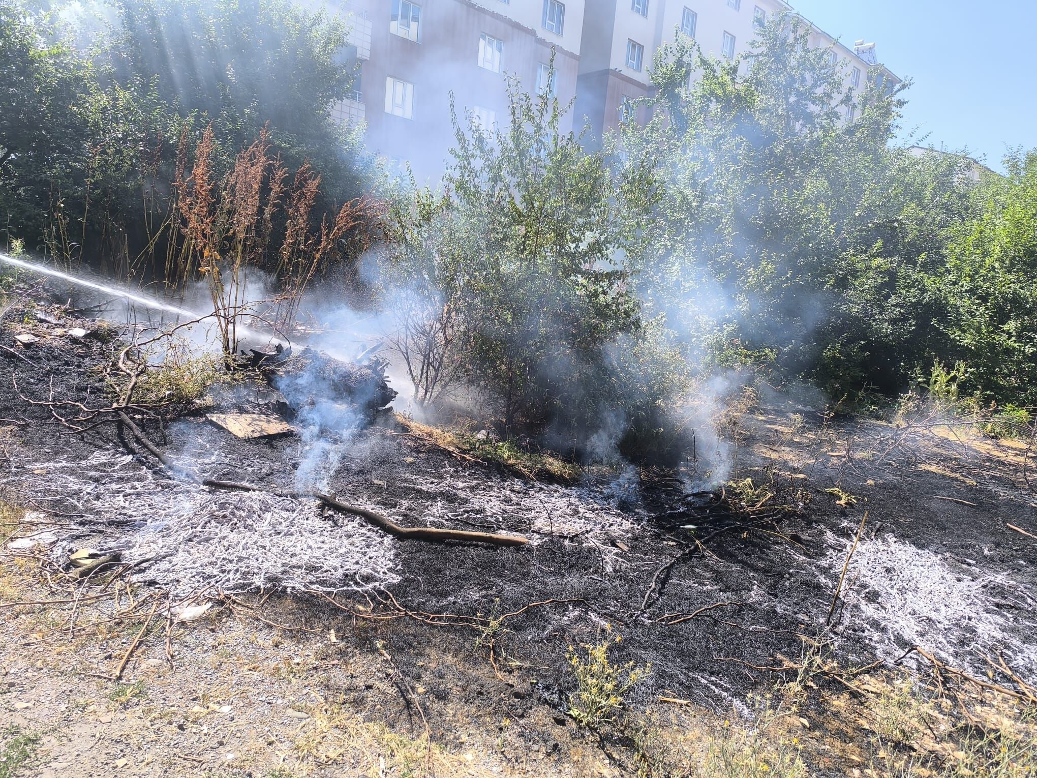 Whatsapp Image 2026 07 20 At 10.34.59 (1)