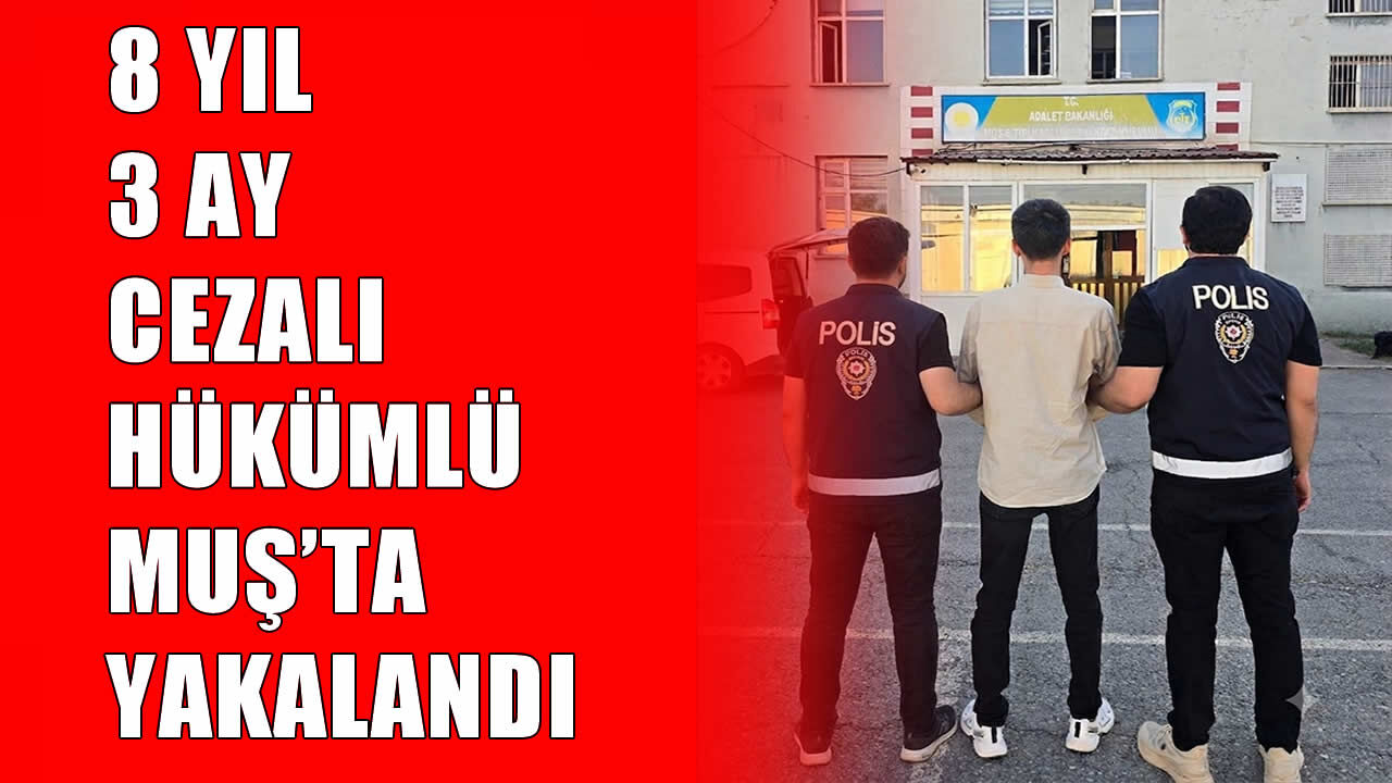 Muş’ta iki ayrı suçtan hapis cezasıyla aranan şahıs yakalandı