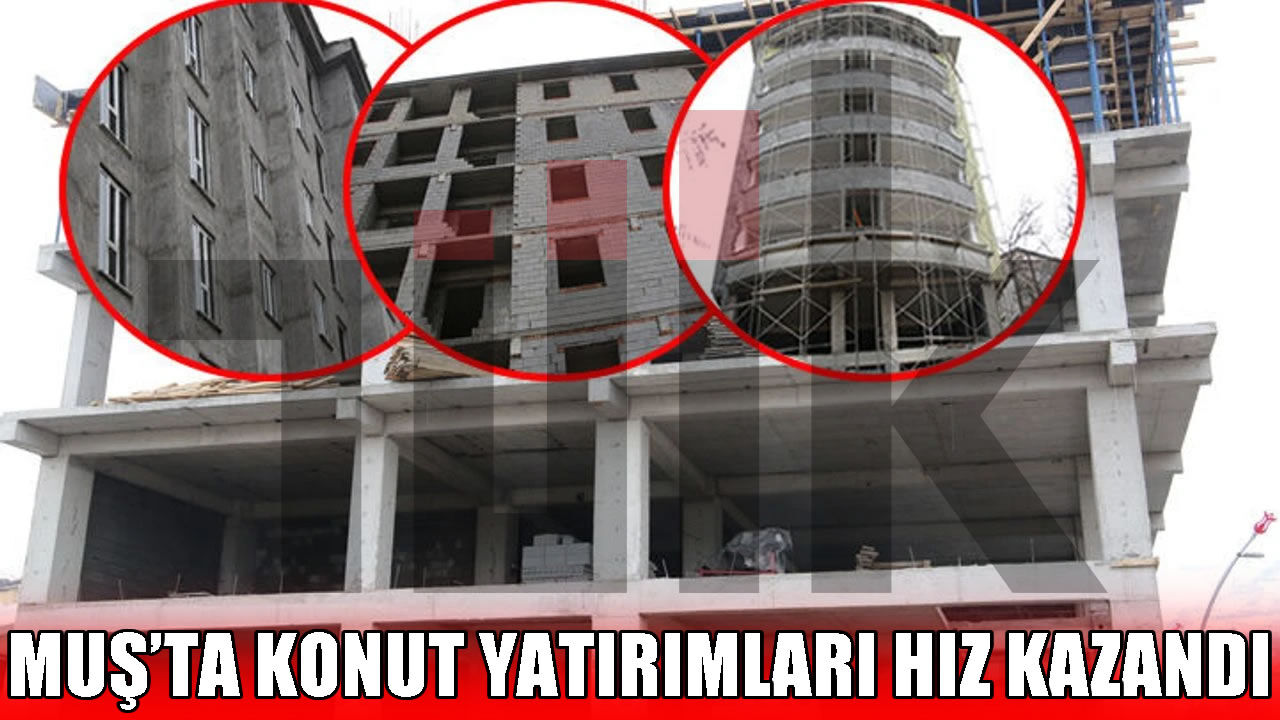 Muş’ta inşaat sektörü hareketlendi: Yapı ruhsatı verilen daire sayısı 2 bini aştı