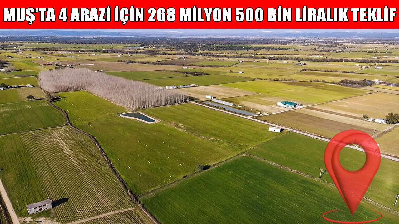 Muş’taki 4 taşınmaza rekor fiyat: 268 milyonluk dev ihale!
