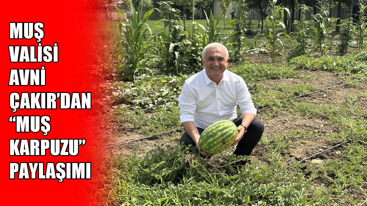 Muş Valisi Avni Çakır’dan 'Muş Karpuzu' paylaşımı: "Yemeyen kalmasın"