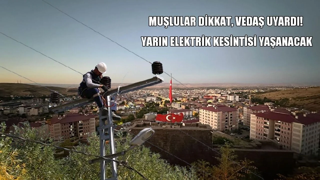 Muş’ta 26 Ağustos'ta planlı elektrik kesintisi yaşanacak