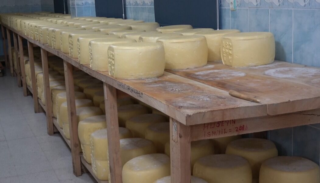 Whatsapp Image 2026 08 03 At 16.09.09