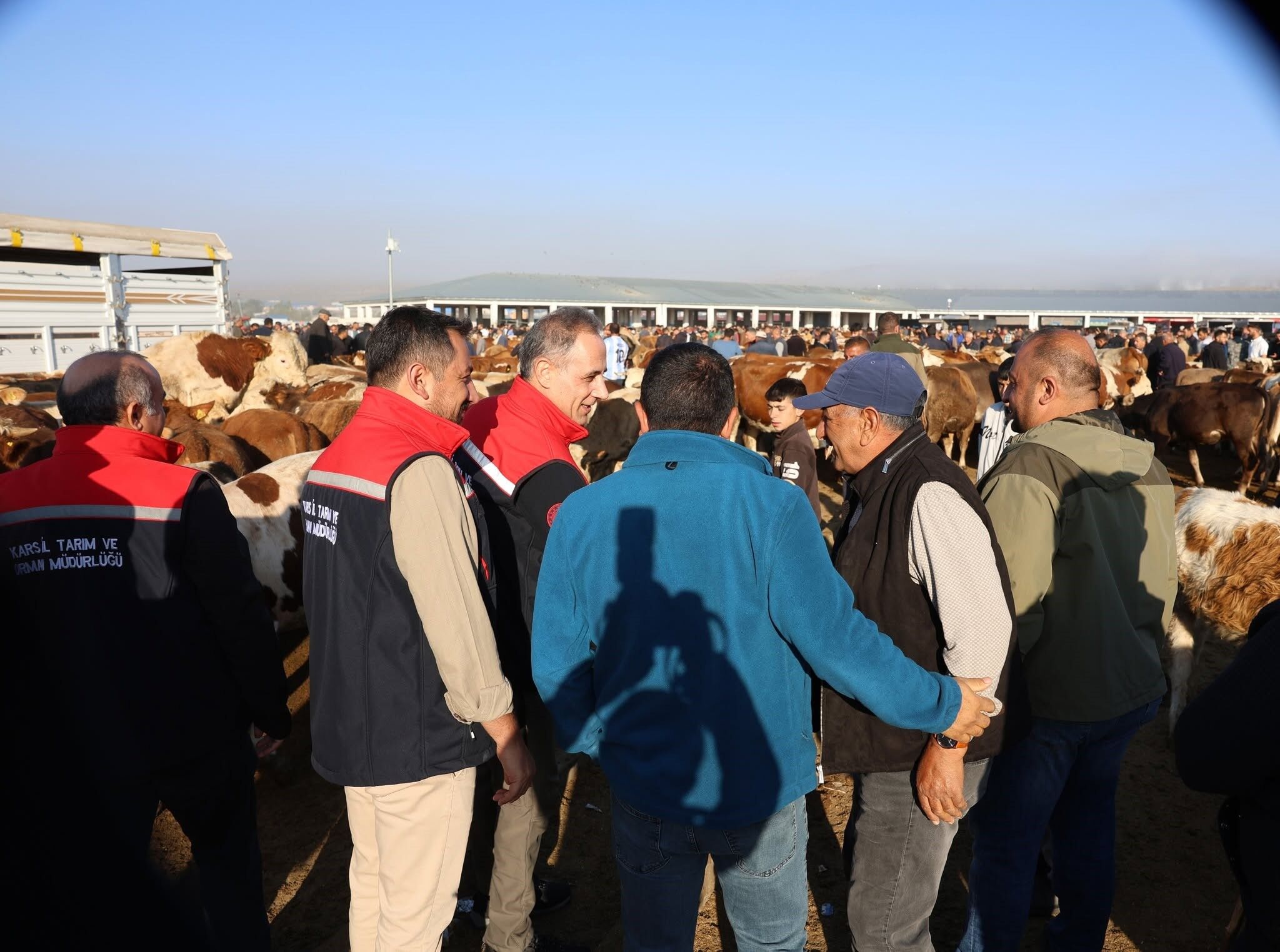 Kars Hayvan Pazarı’nda sıkı denetim: Hayvan hareketliliğine sağlık ve güvenlik filtresi