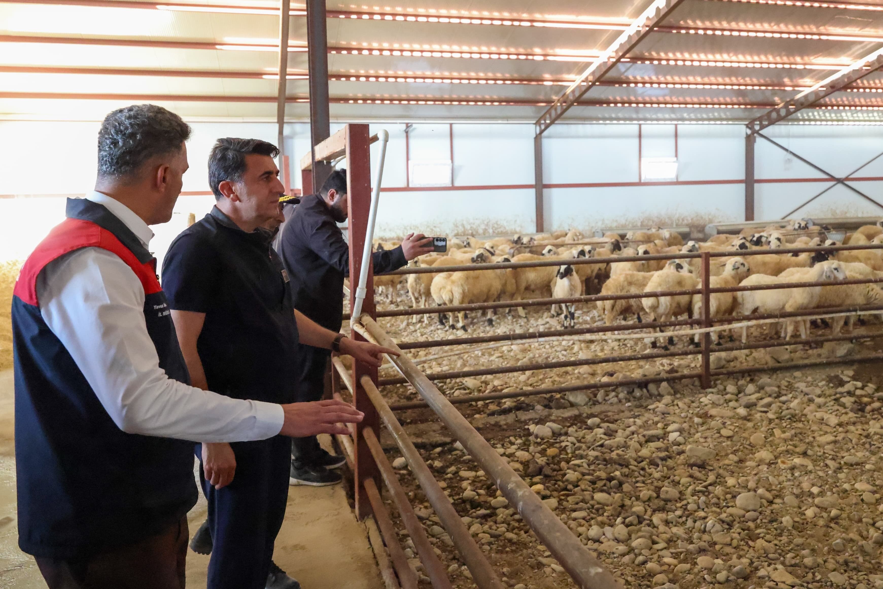 Tunceli’de kırsal kalkınma destekleri üretime katkı sağlıyor