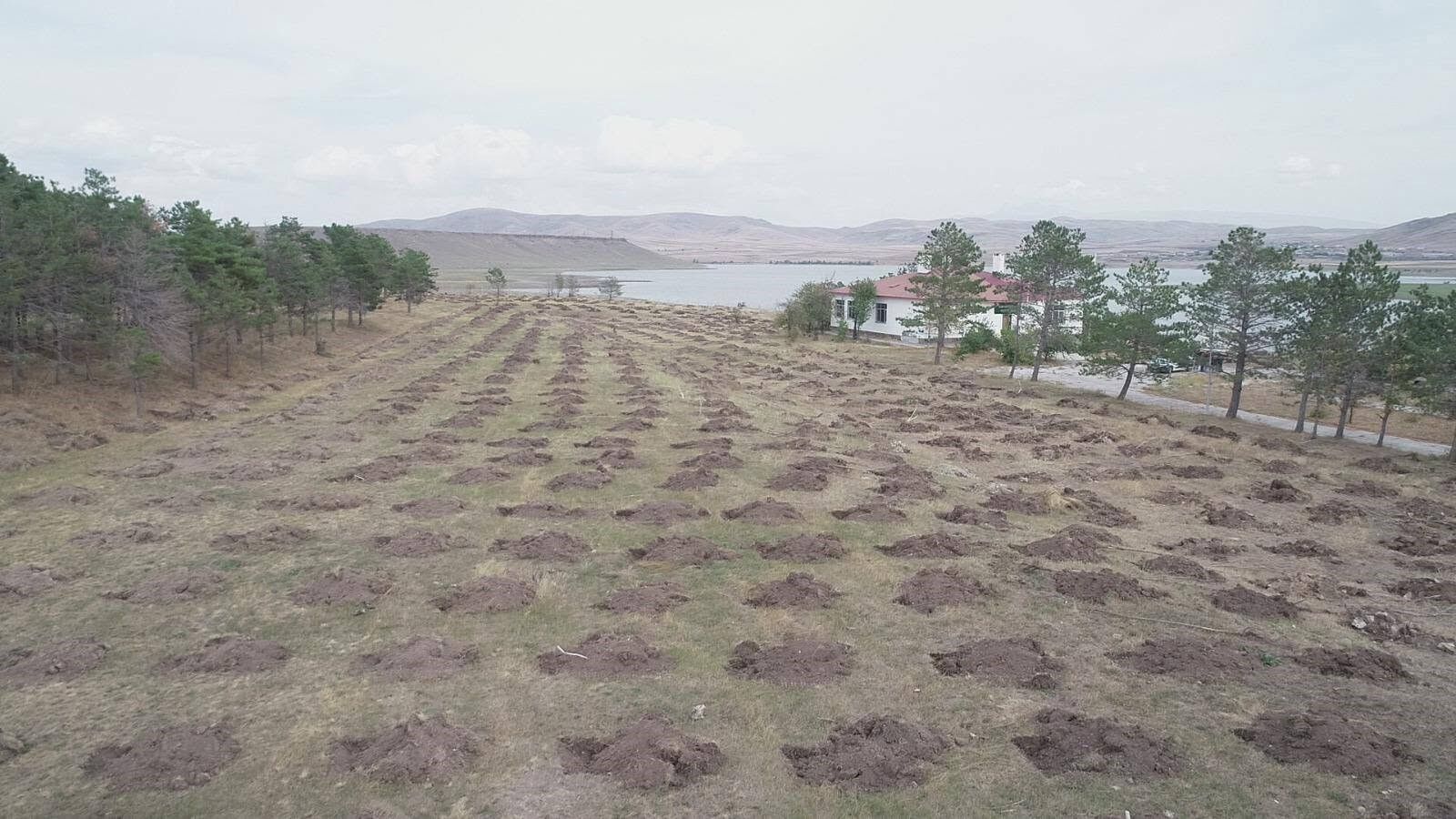 Kars’ta "Yeşil Vatan" için kurumlar güçlerini birleştirdi