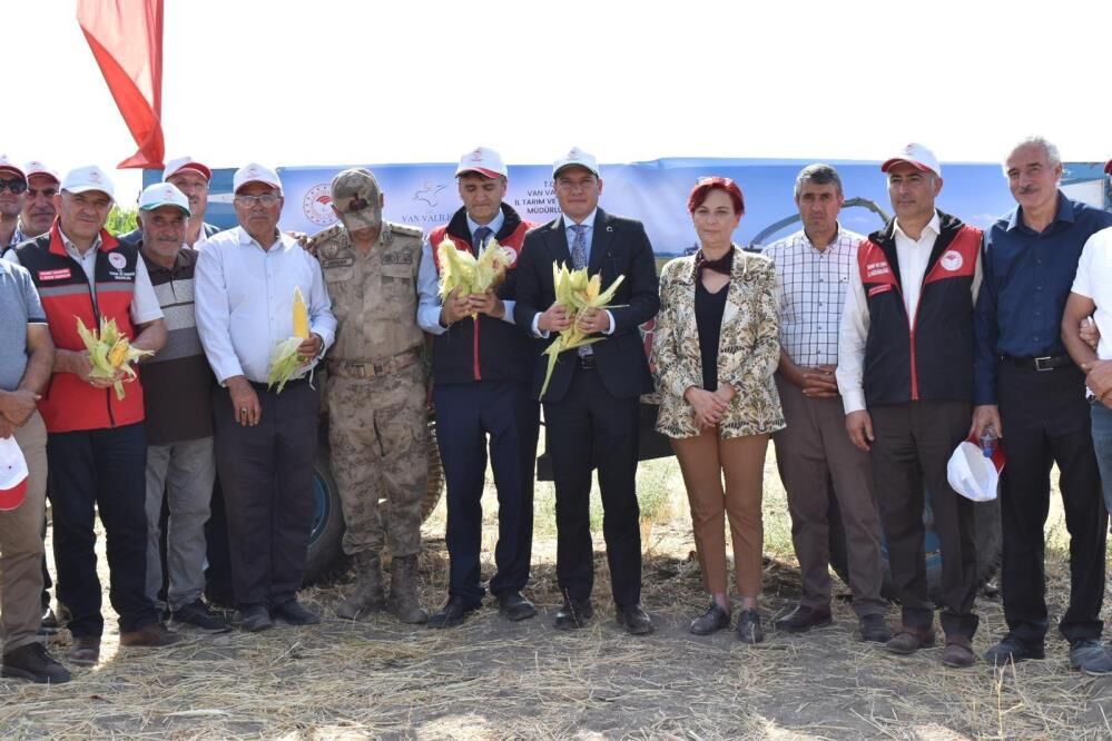 Silajlık Mısır Hasadı Tarla Günü