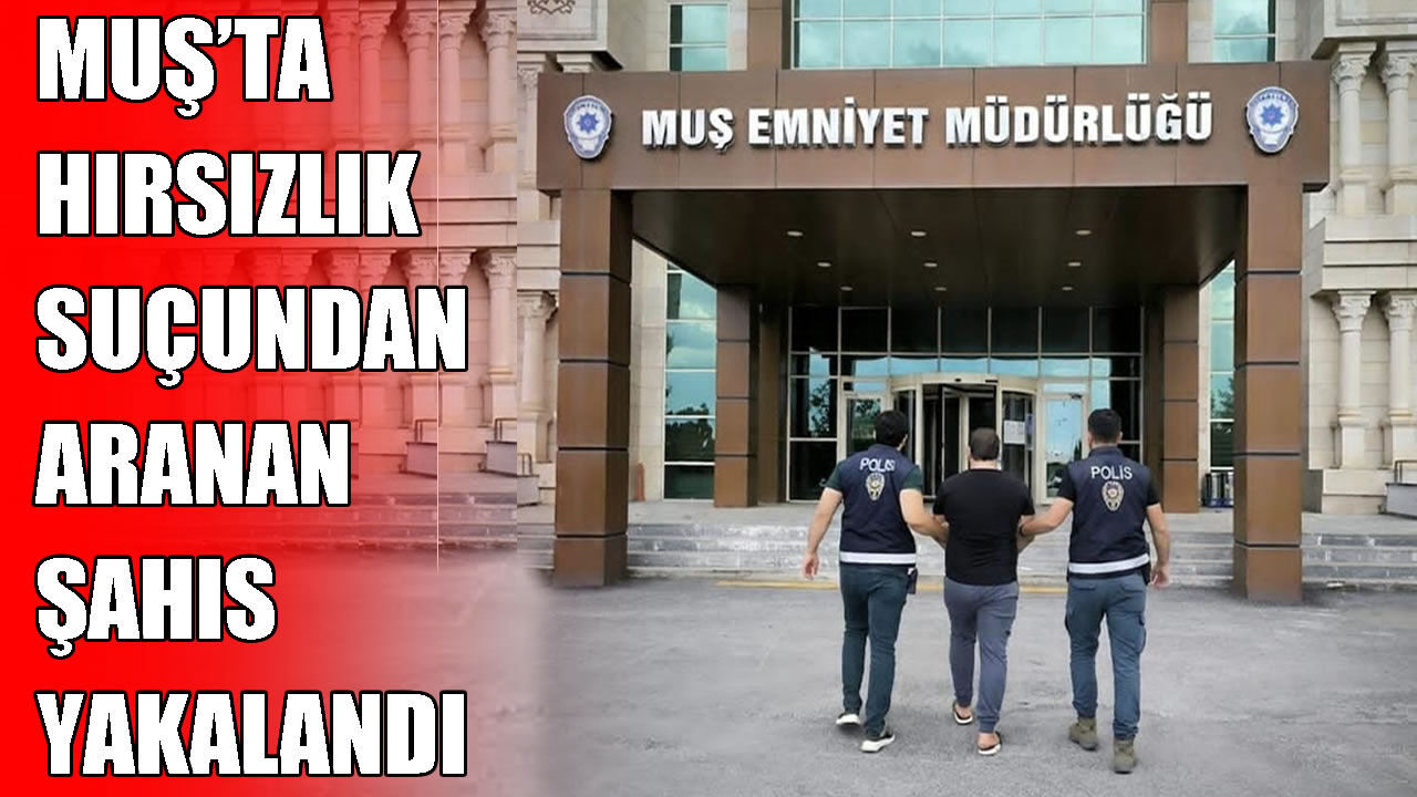 Muş’ta 4 yıl 9 ay hapis cezasıyla aranan şahıs yakalandı